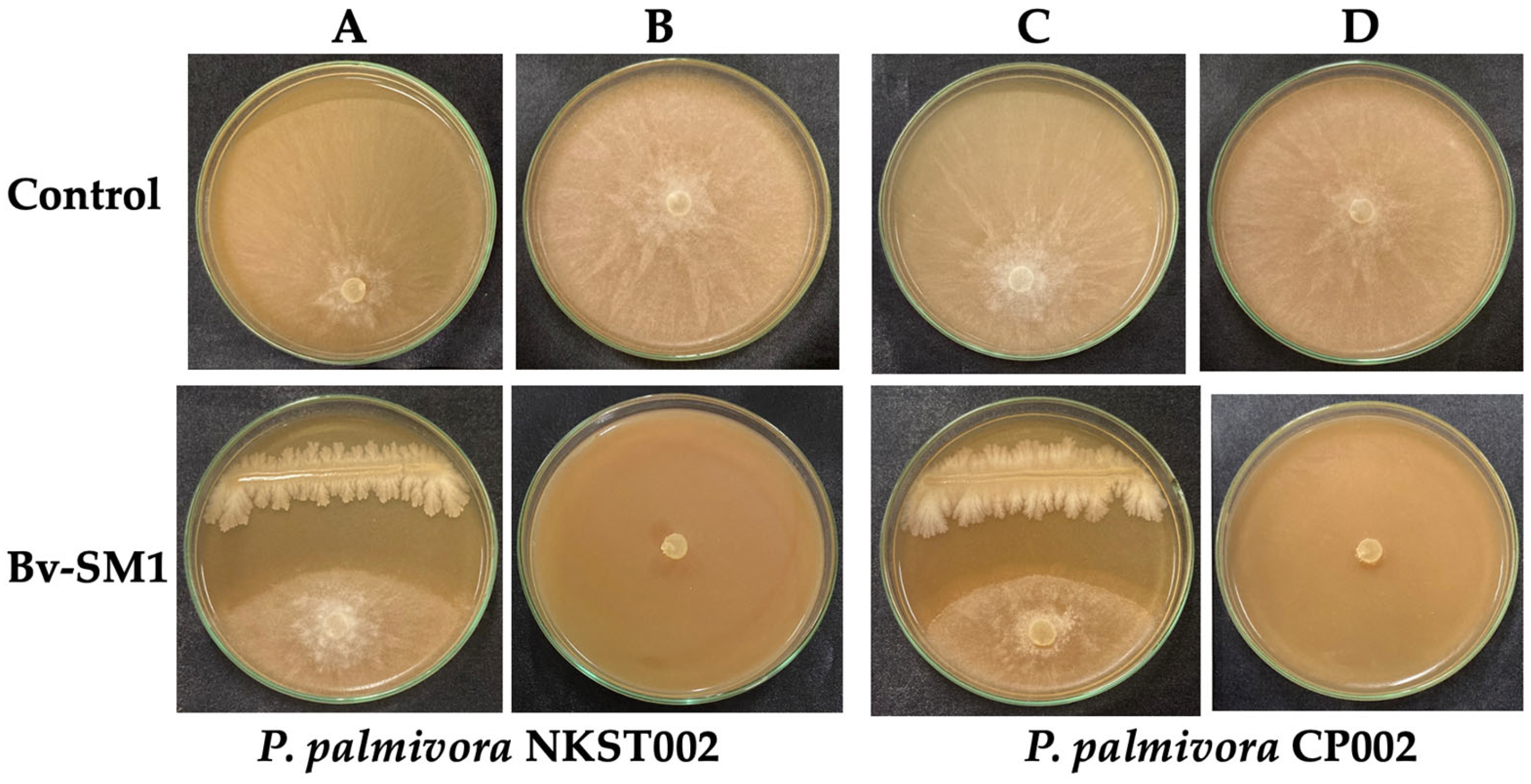 Applmicrobiol 05 00021 g002