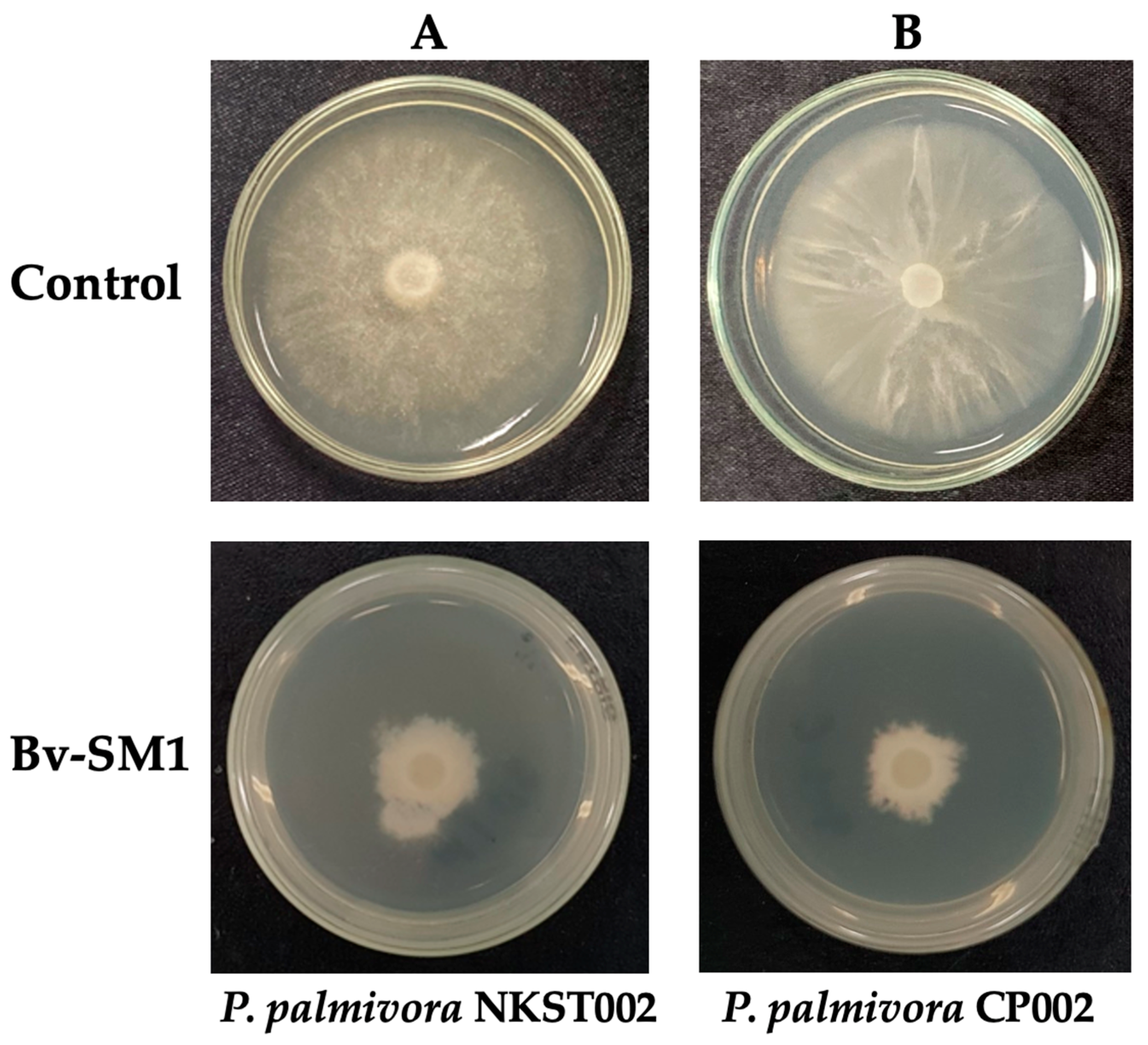 Applmicrobiol 05 00021 g003