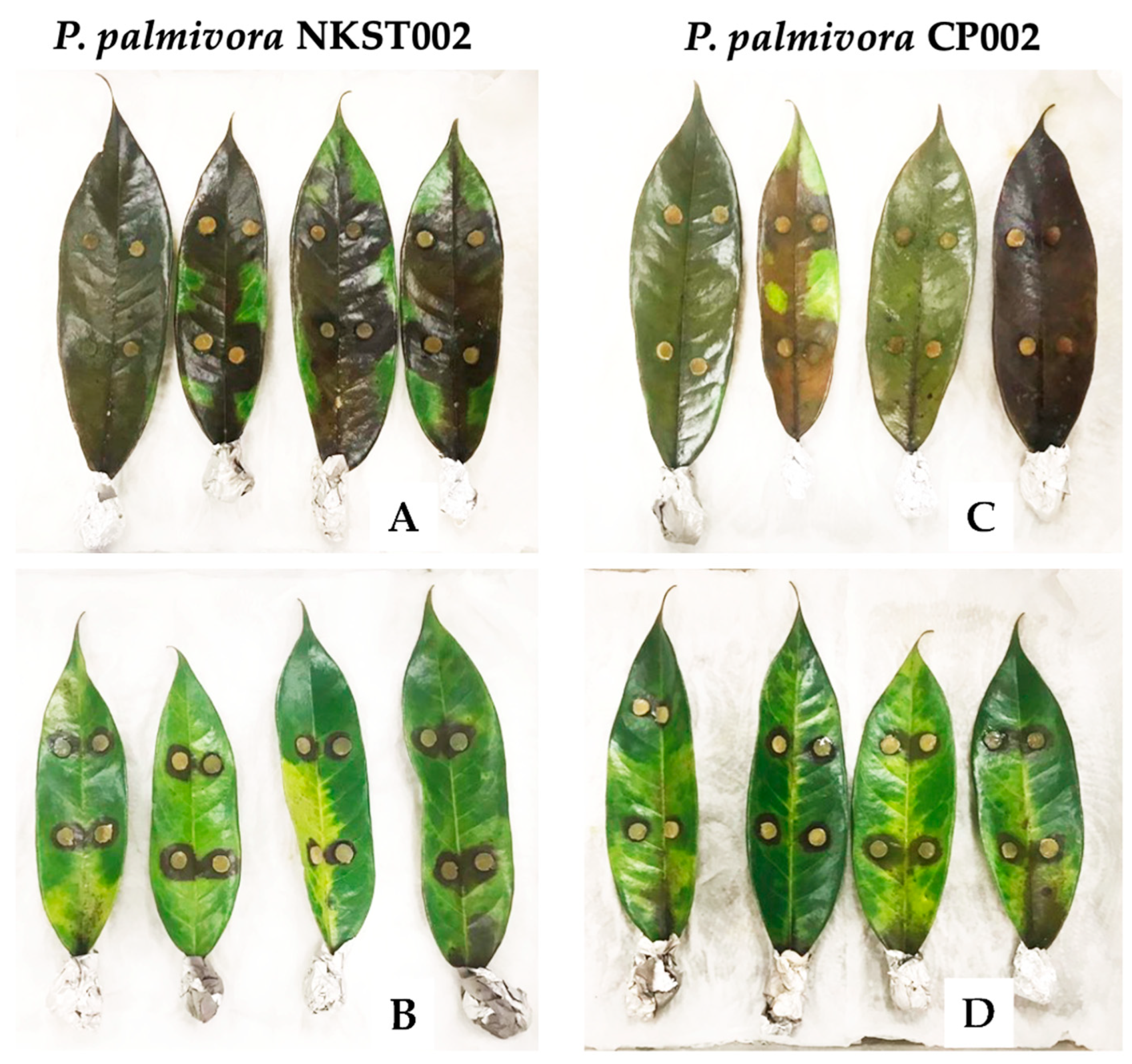 Applmicrobiol 05 00021 g004