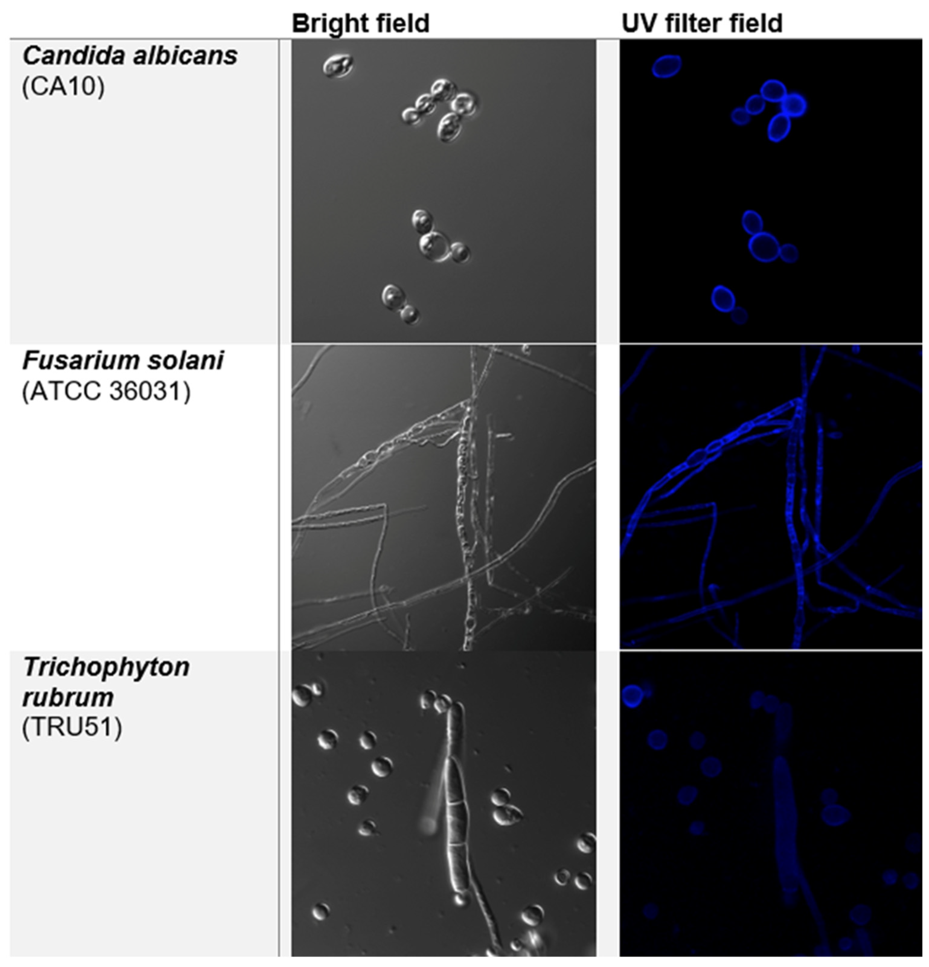 Applmicrobiol 05 00038 g001