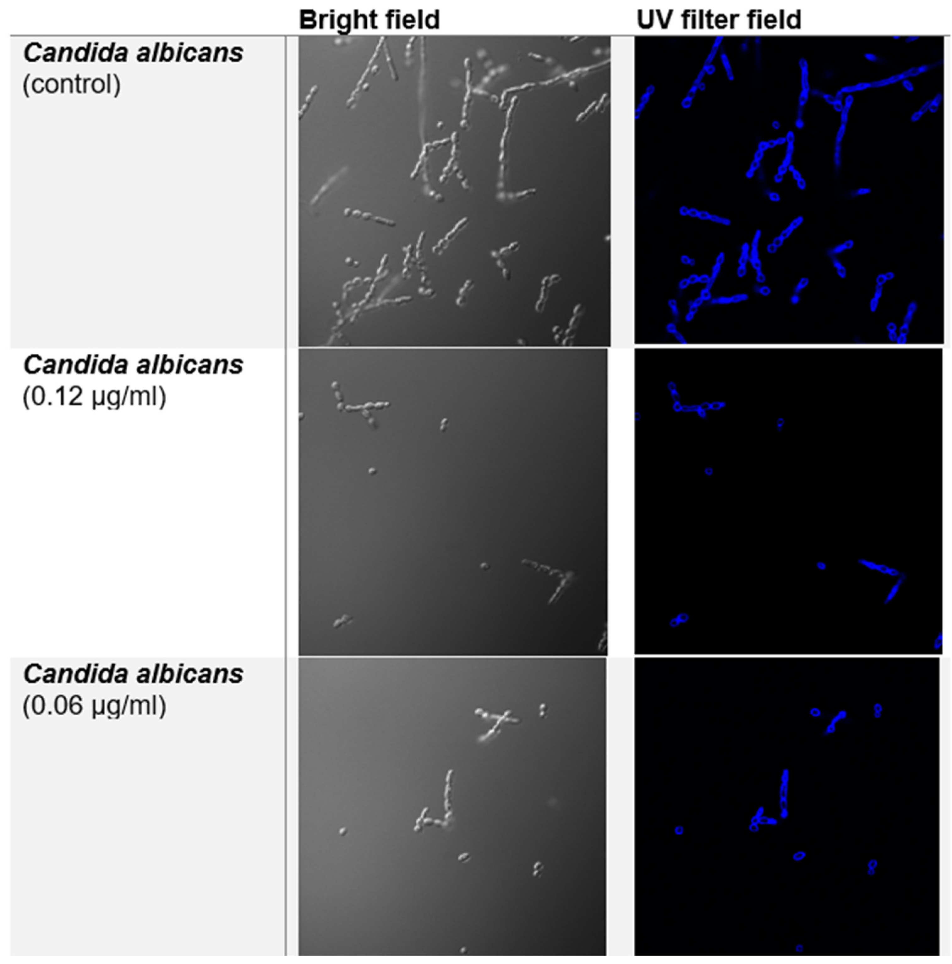 Applmicrobiol 05 00038 g002