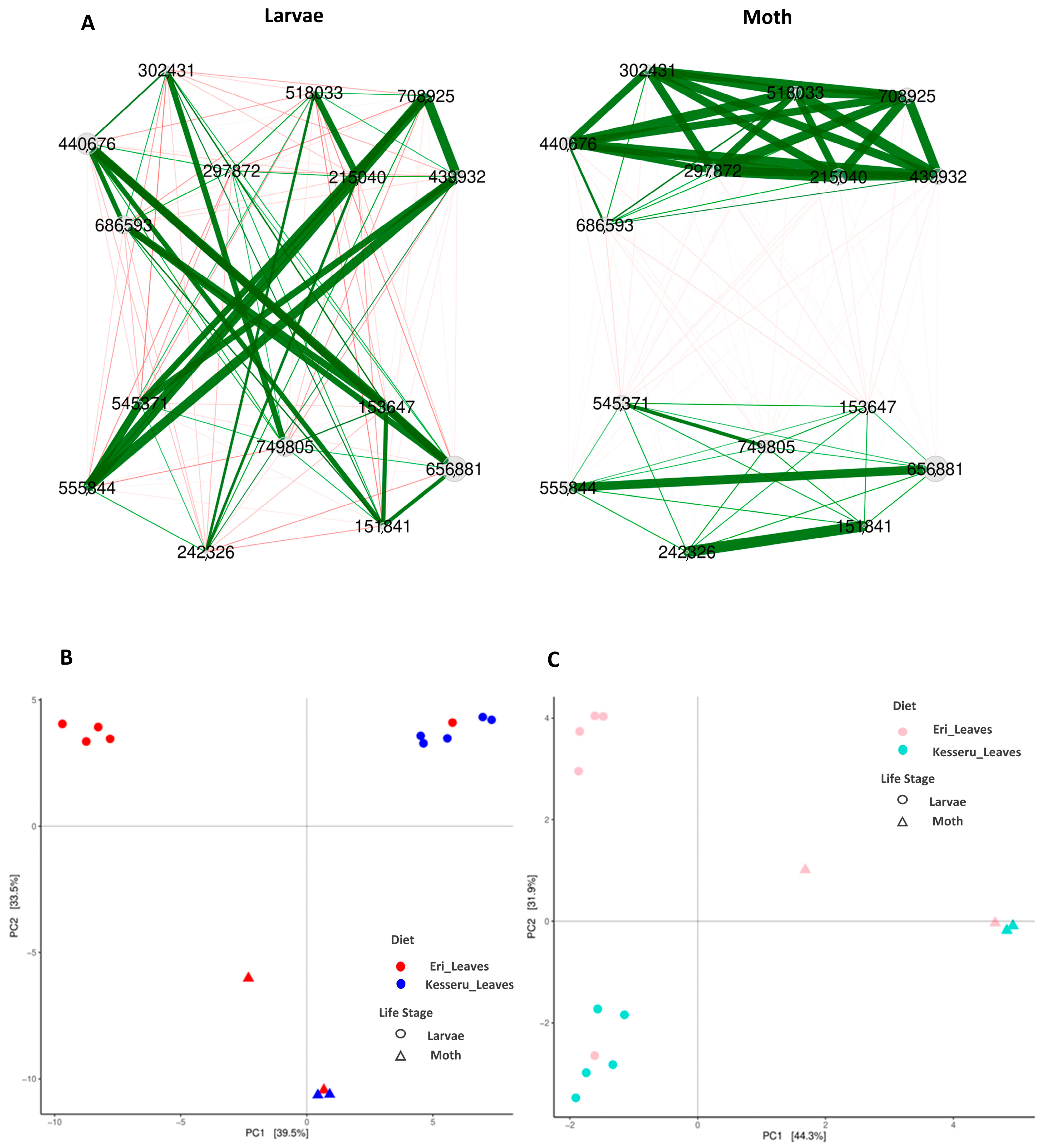 Applmicrobiol 05 00040 g008