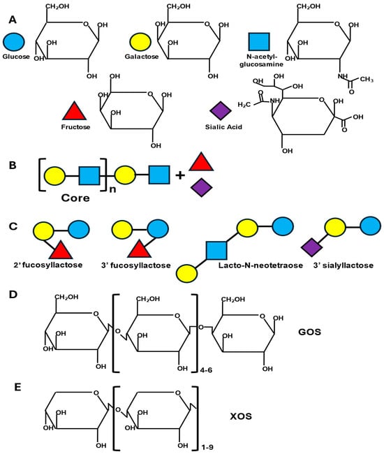 Applmicrobiol 05 00042 g001