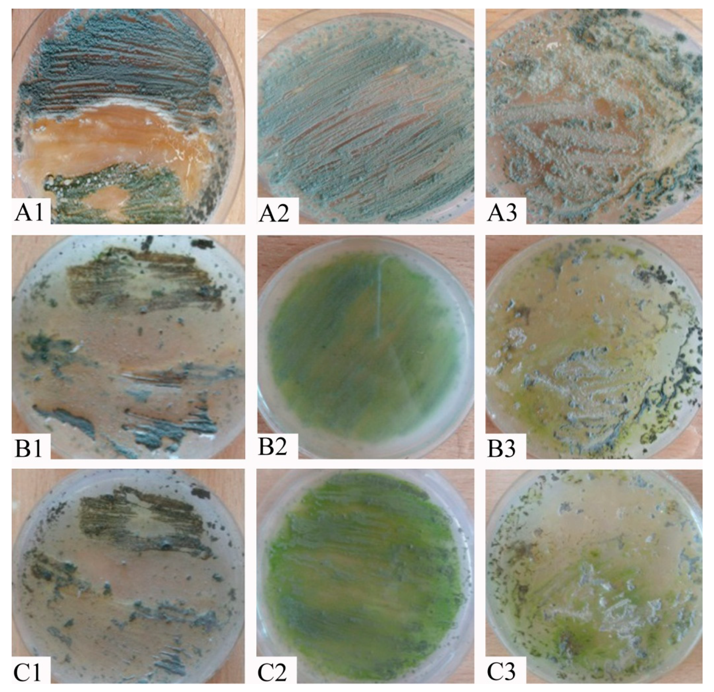 Applmicrobiol 05 00046 g002