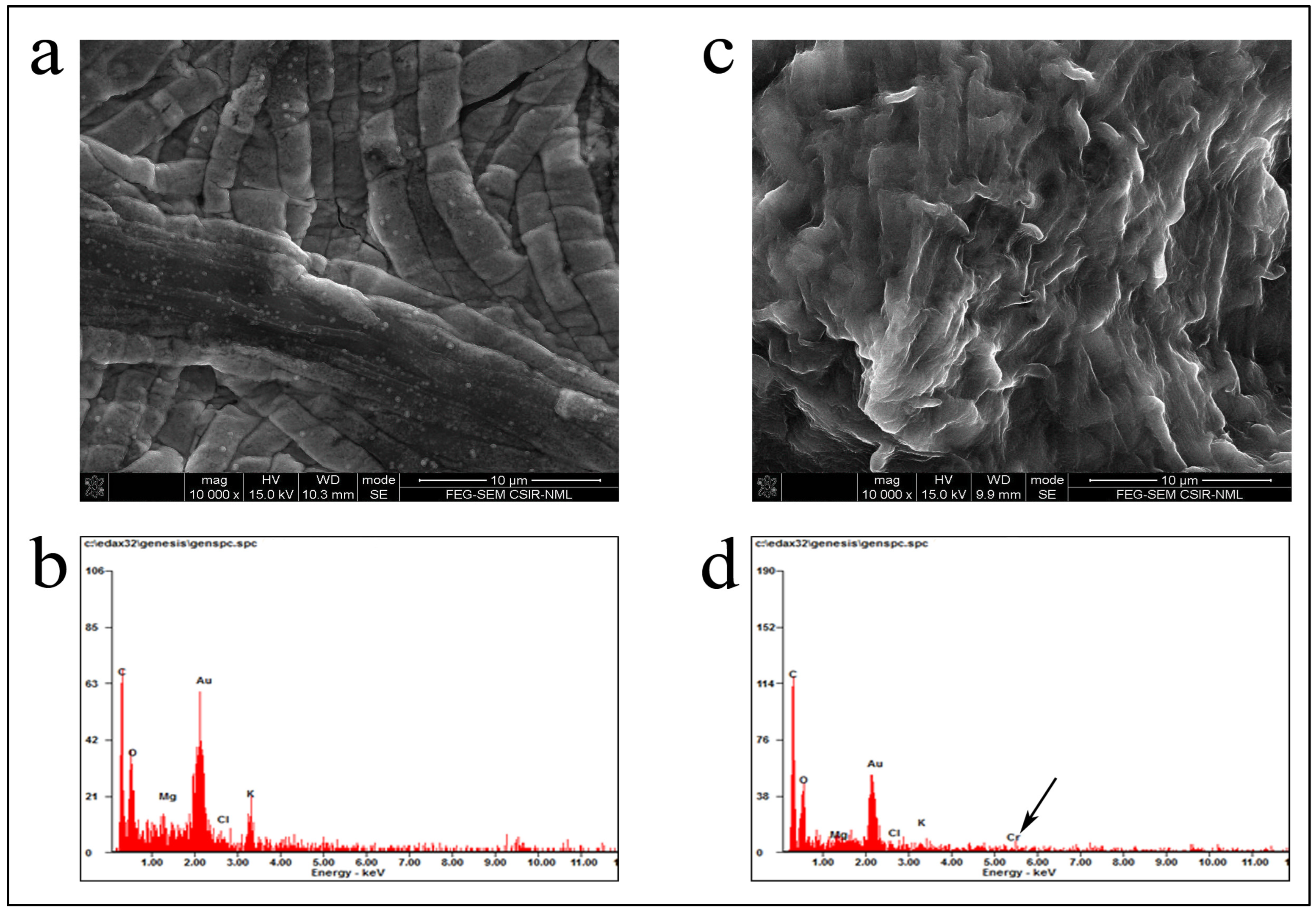 Applmicrobiol 05 00055 g006