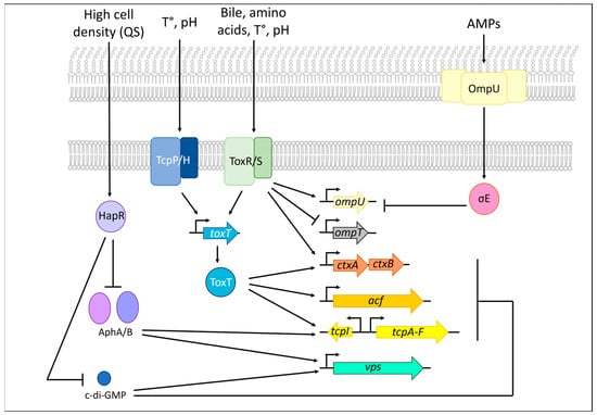 Applmicrobiol 05 00064 g003