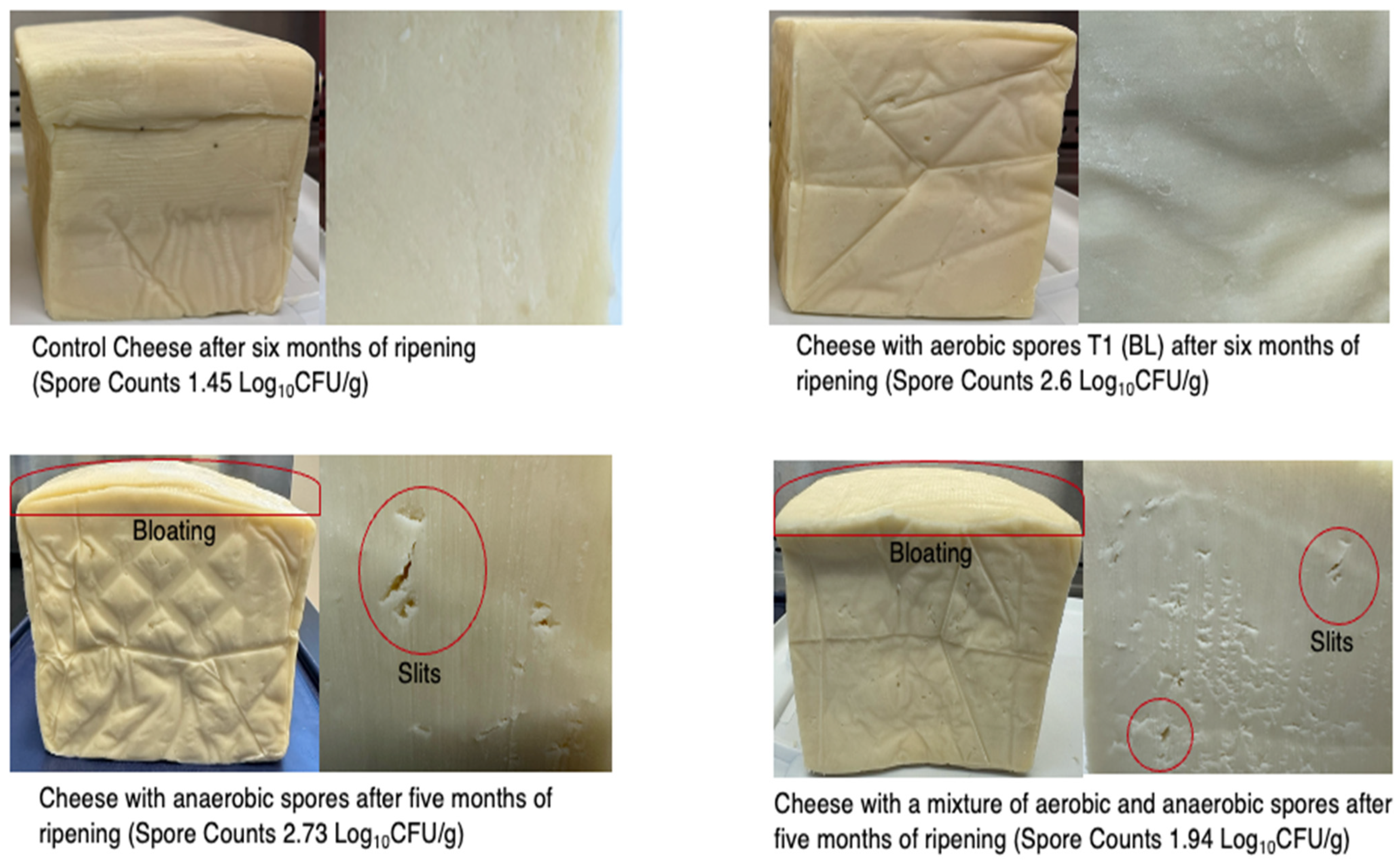Applmicrobiol 05 00065 g002