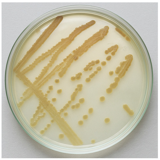 Applmicrobiol 05 00069 g0a1