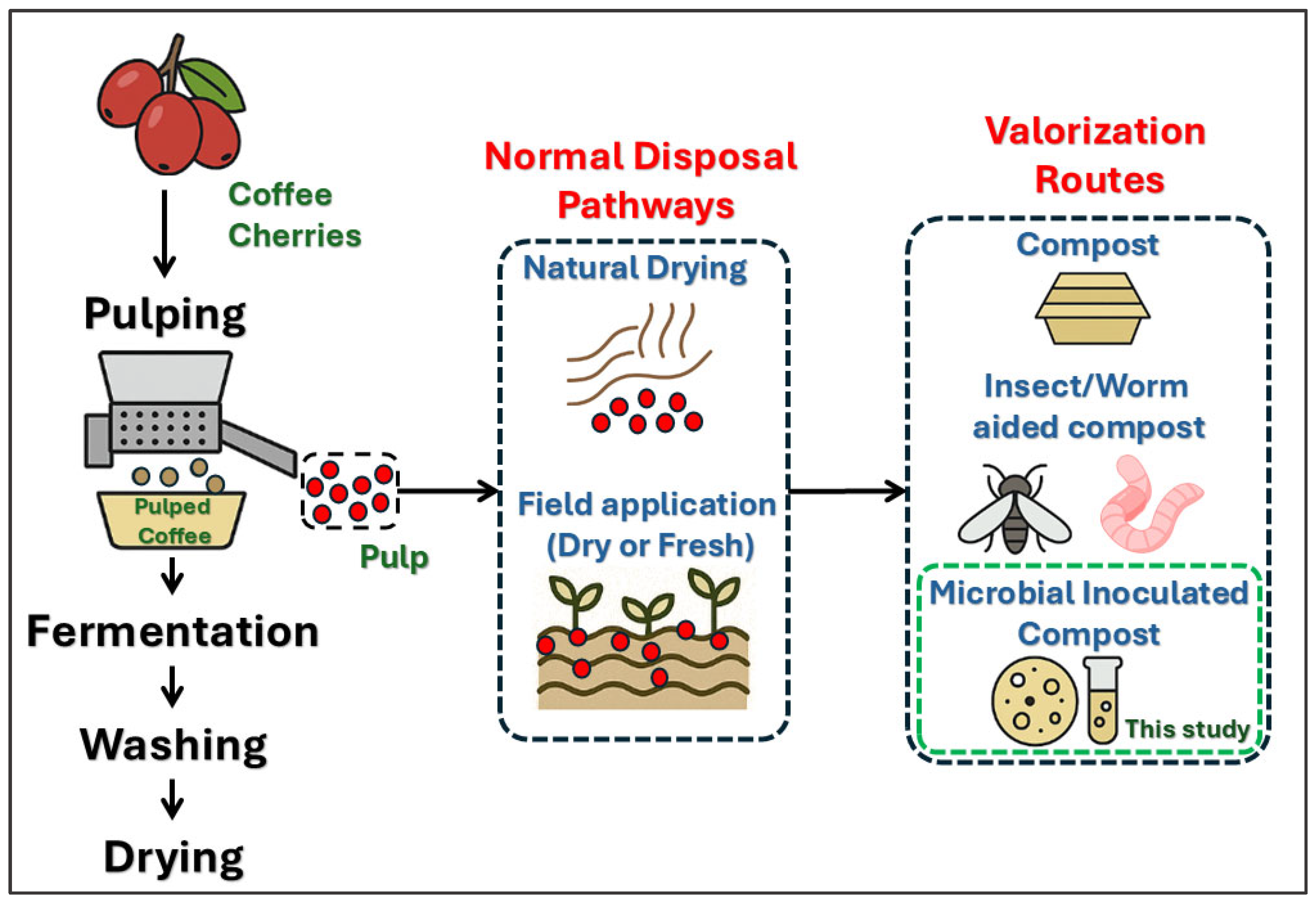 Applmicrobiol 05 00086 g001