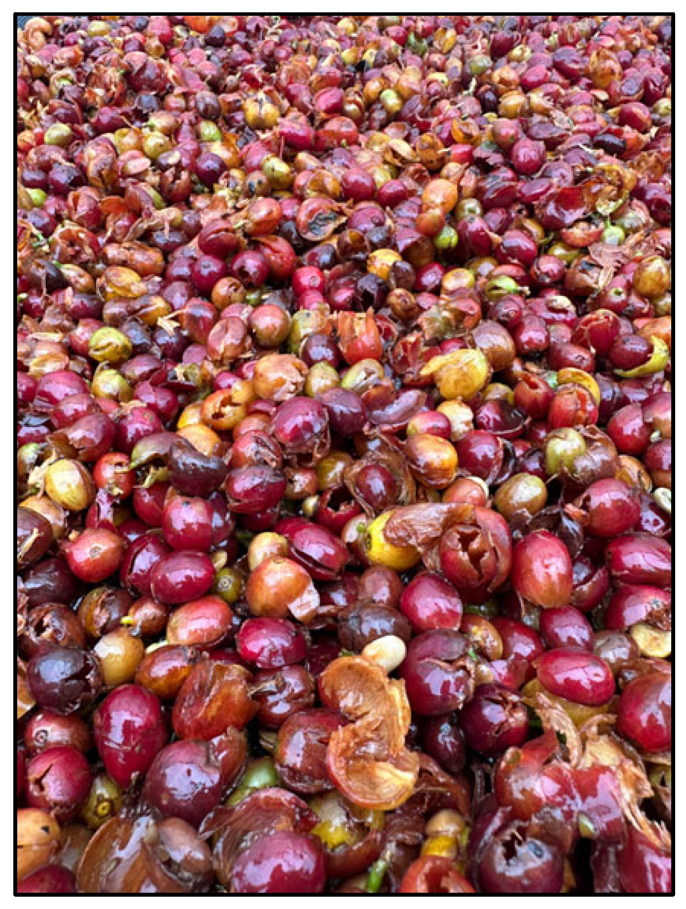 Applmicrobiol 05 00086 g002