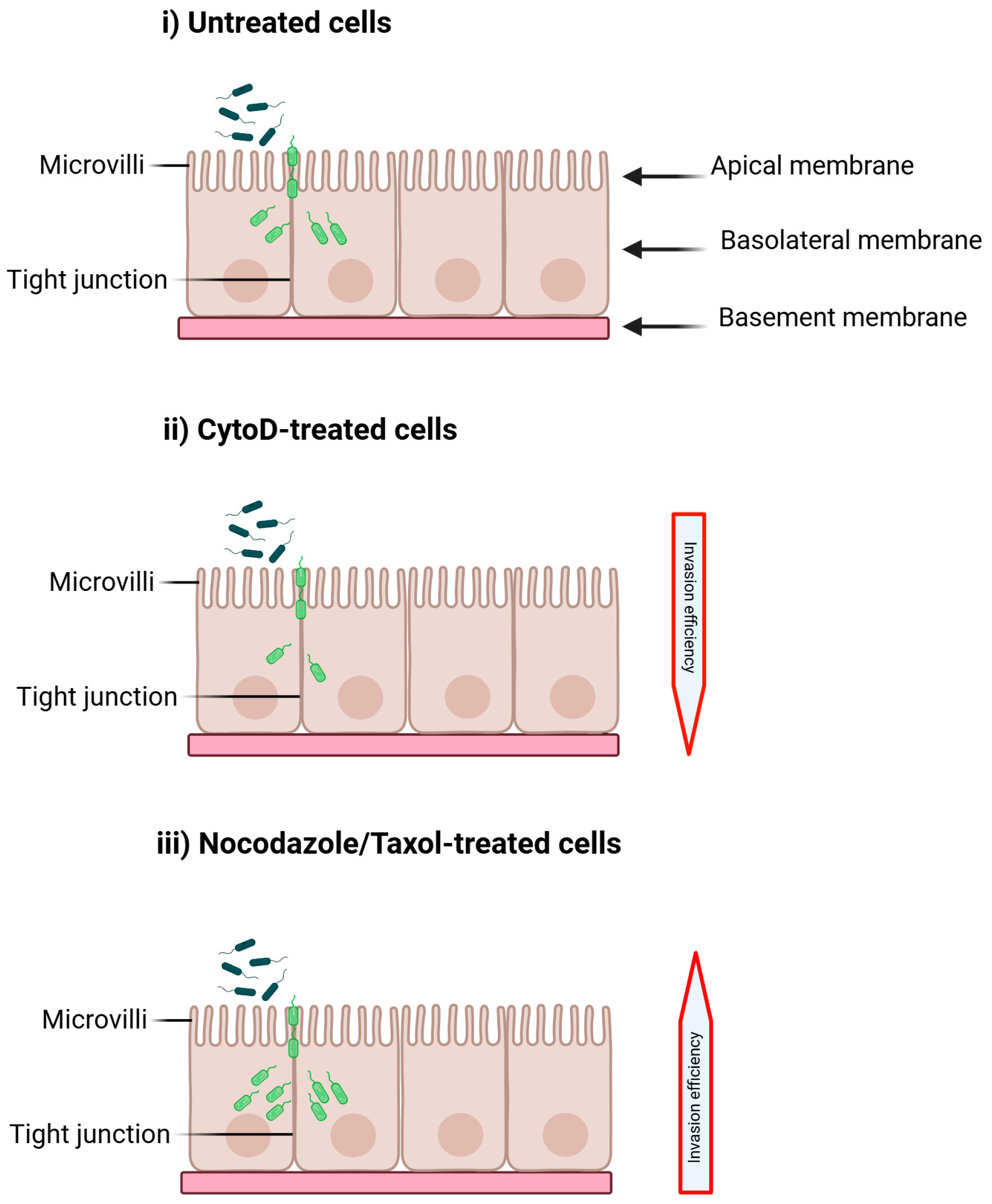 Applmicrobiol 05 00089 g004