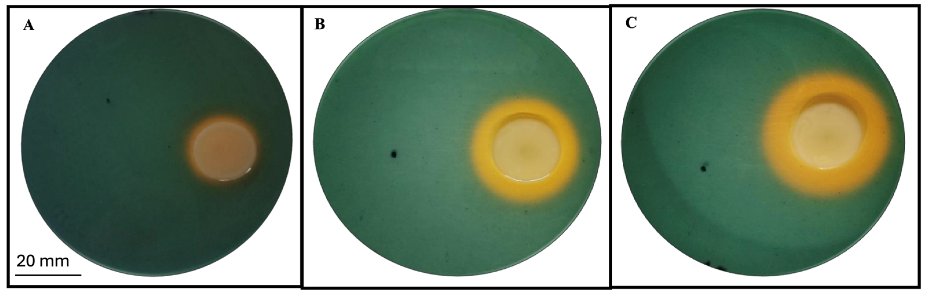 Applmicrobiol 05 00091 g001 Applmicrobiol 05 00091 g001