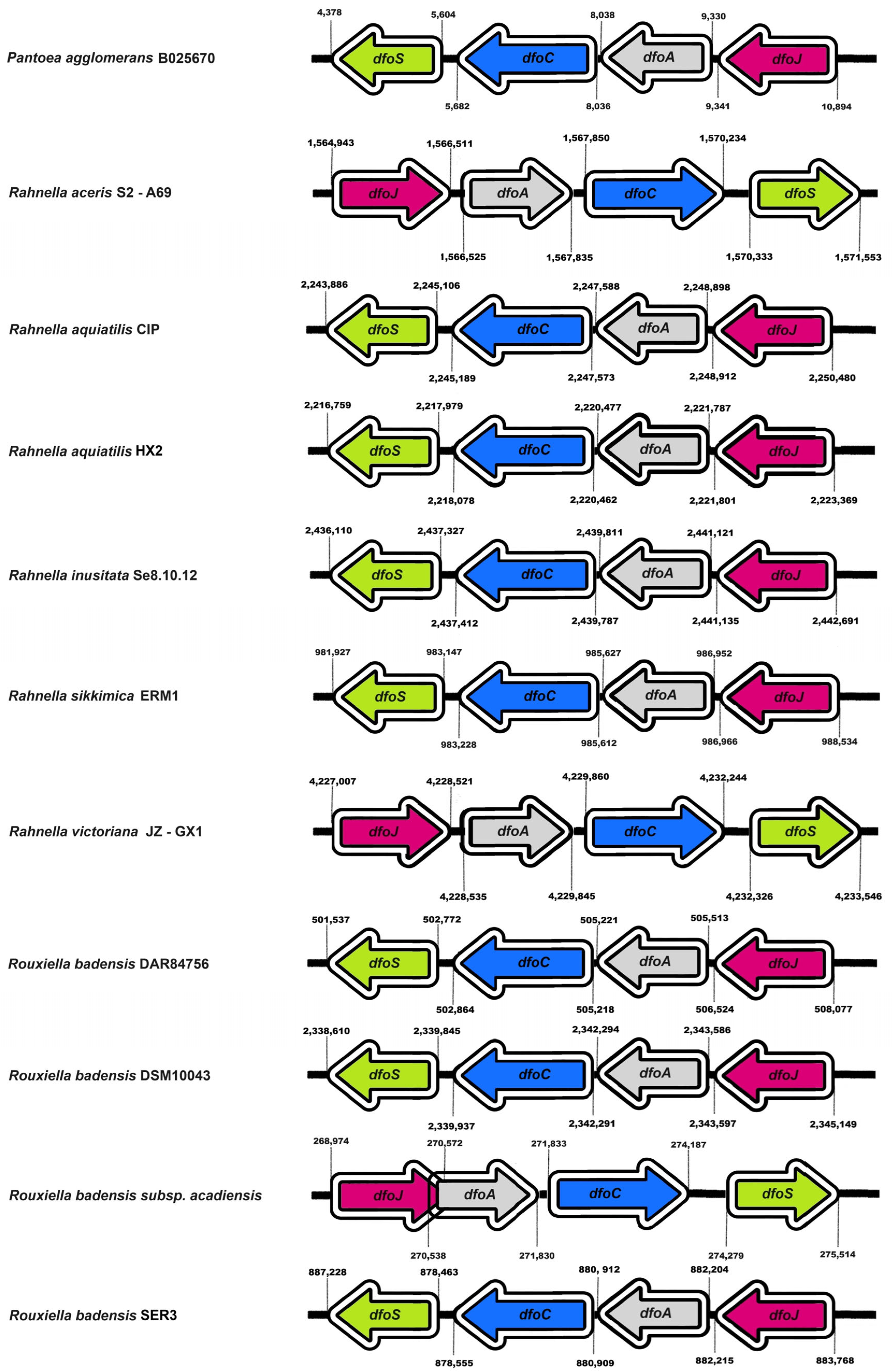 Applmicrobiol 05 00091 g007 Applmicrobiol 05 00091 g007
