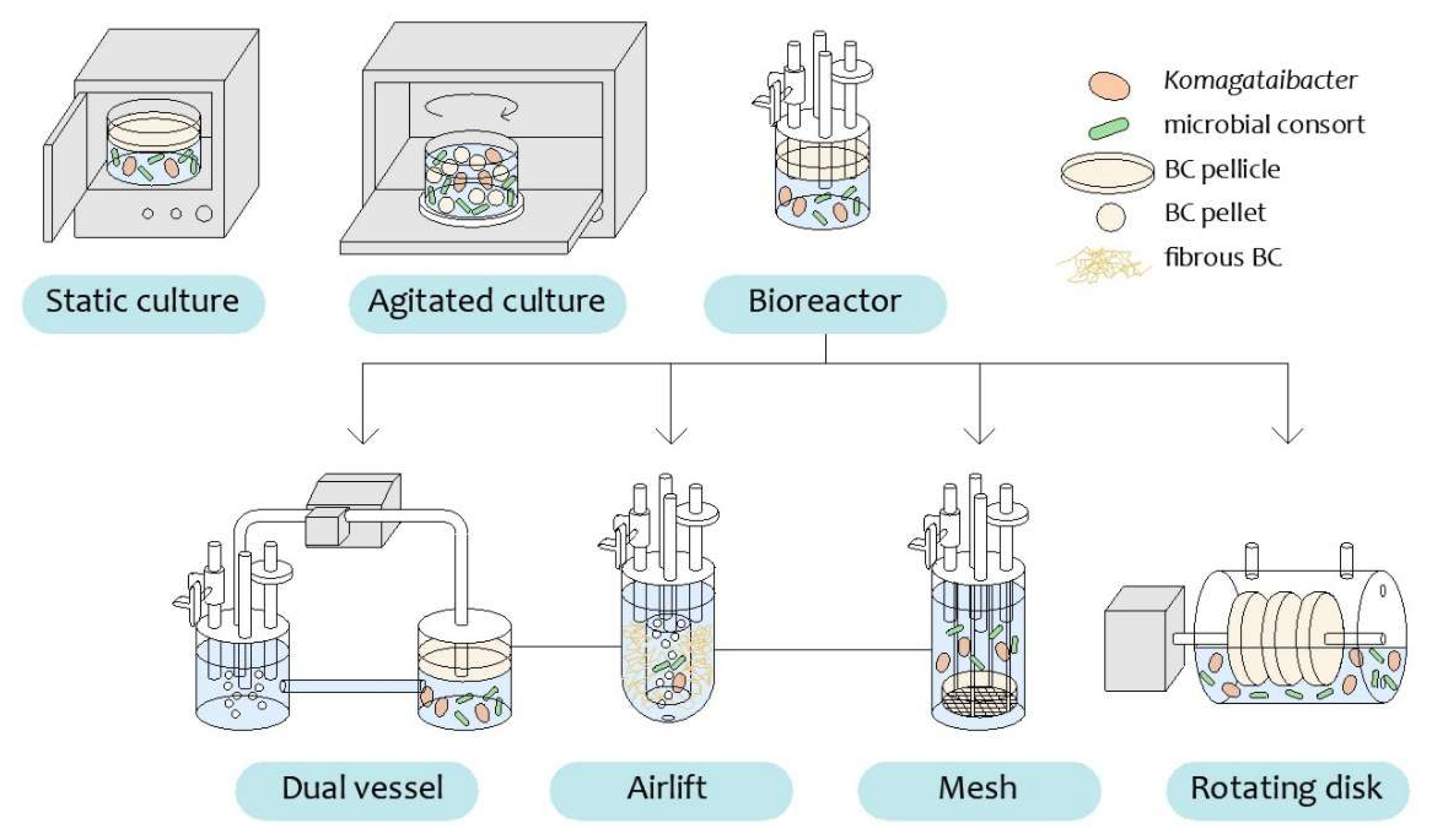 Applmicrobiol 05 00092 g002 Applmicrobiol 05 00092 g002