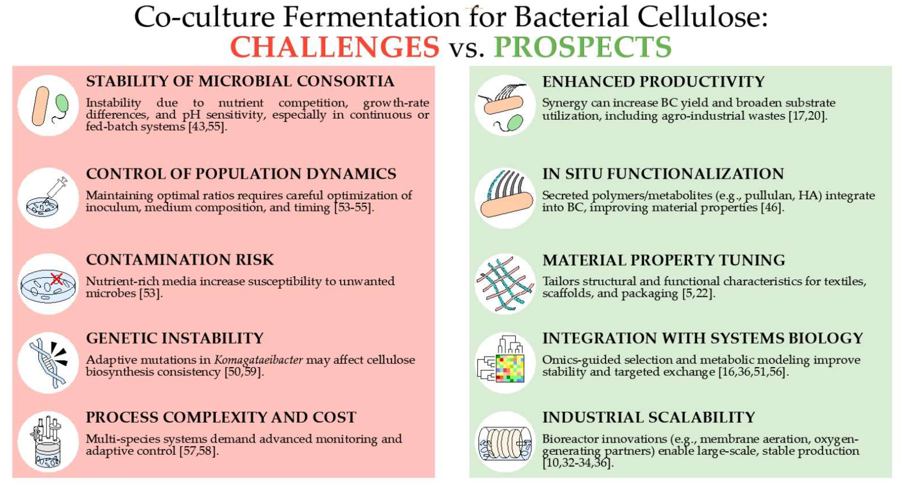 Applmicrobiol 05 00092 g003 Applmicrobiol 05 00092 g003