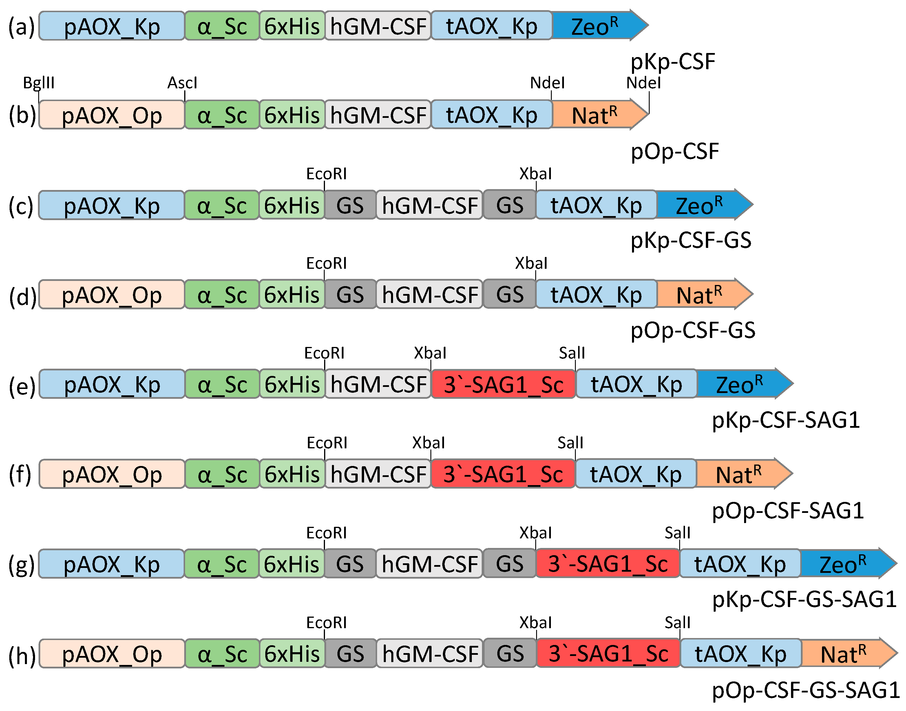 Applmicrobiol 05 00098 g001