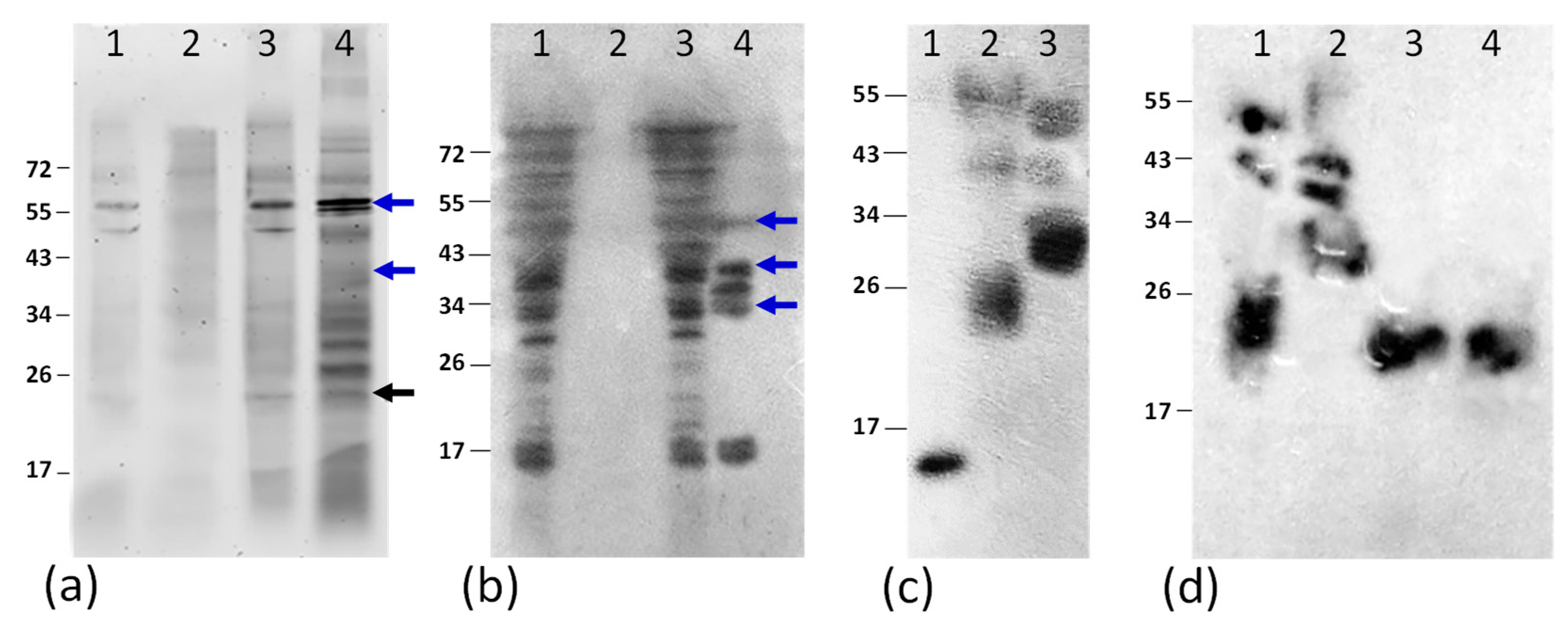 Applmicrobiol 05 00098 g002