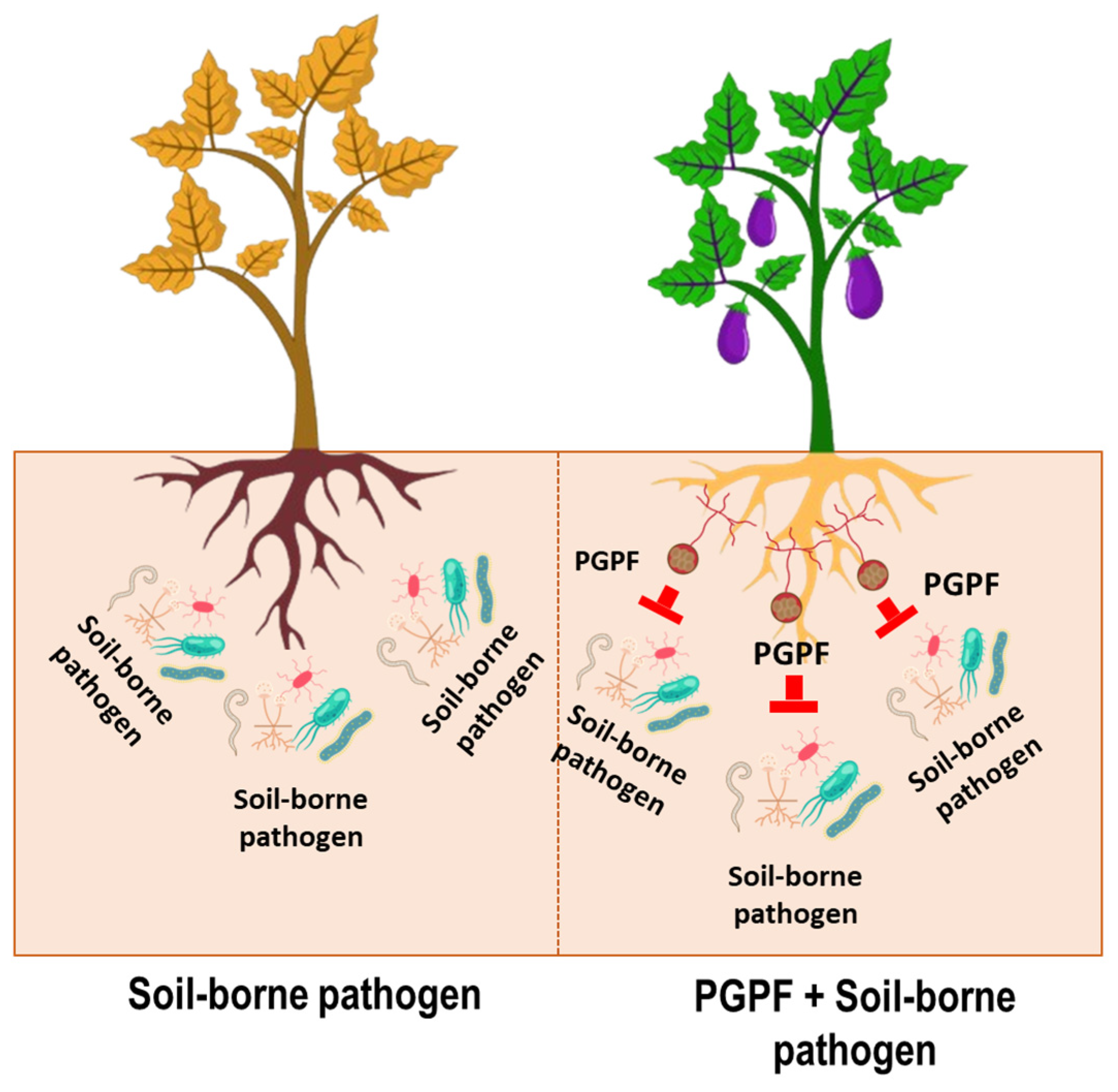Applmicrobiol 05 00123 g004