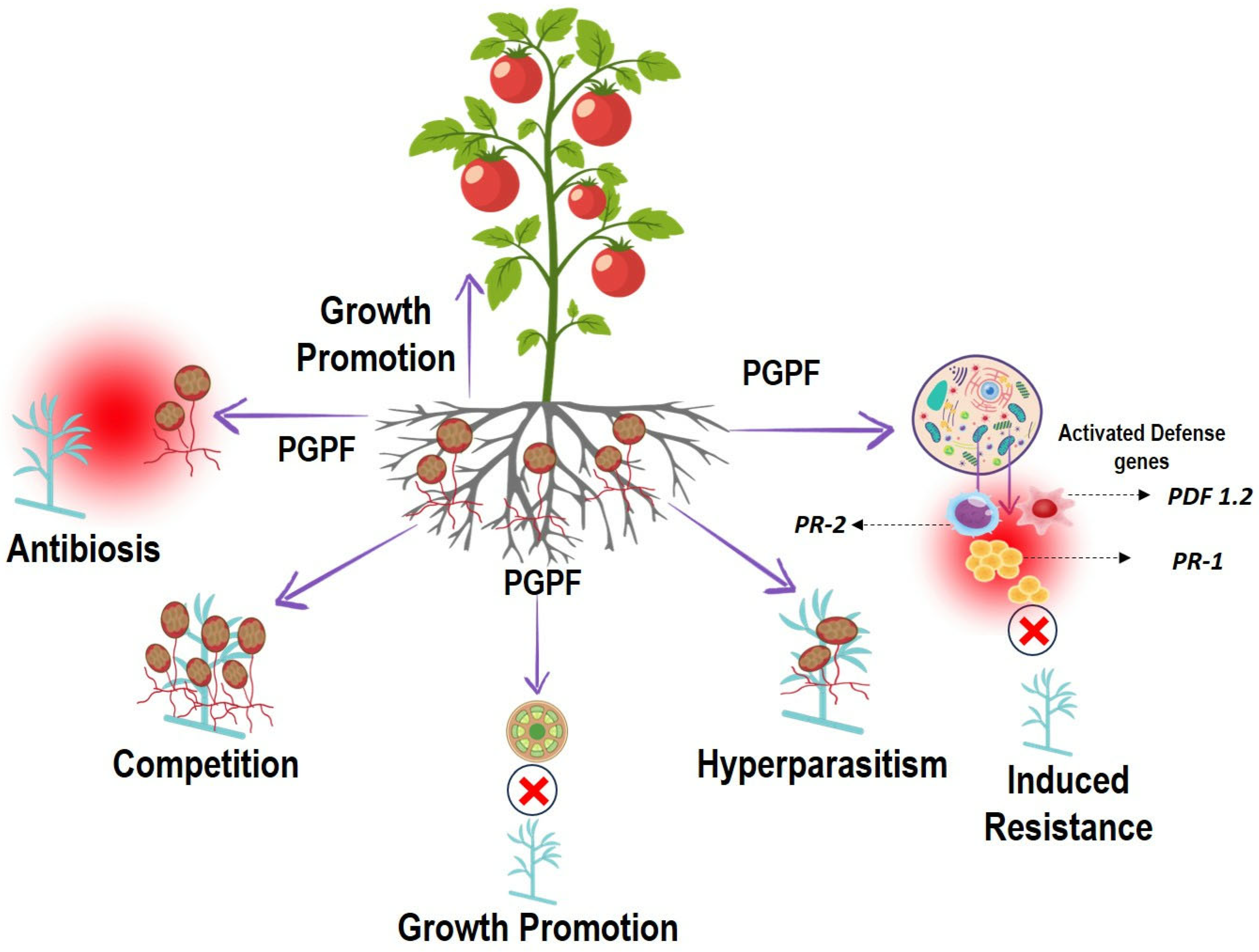 Applmicrobiol 05 00123 g005