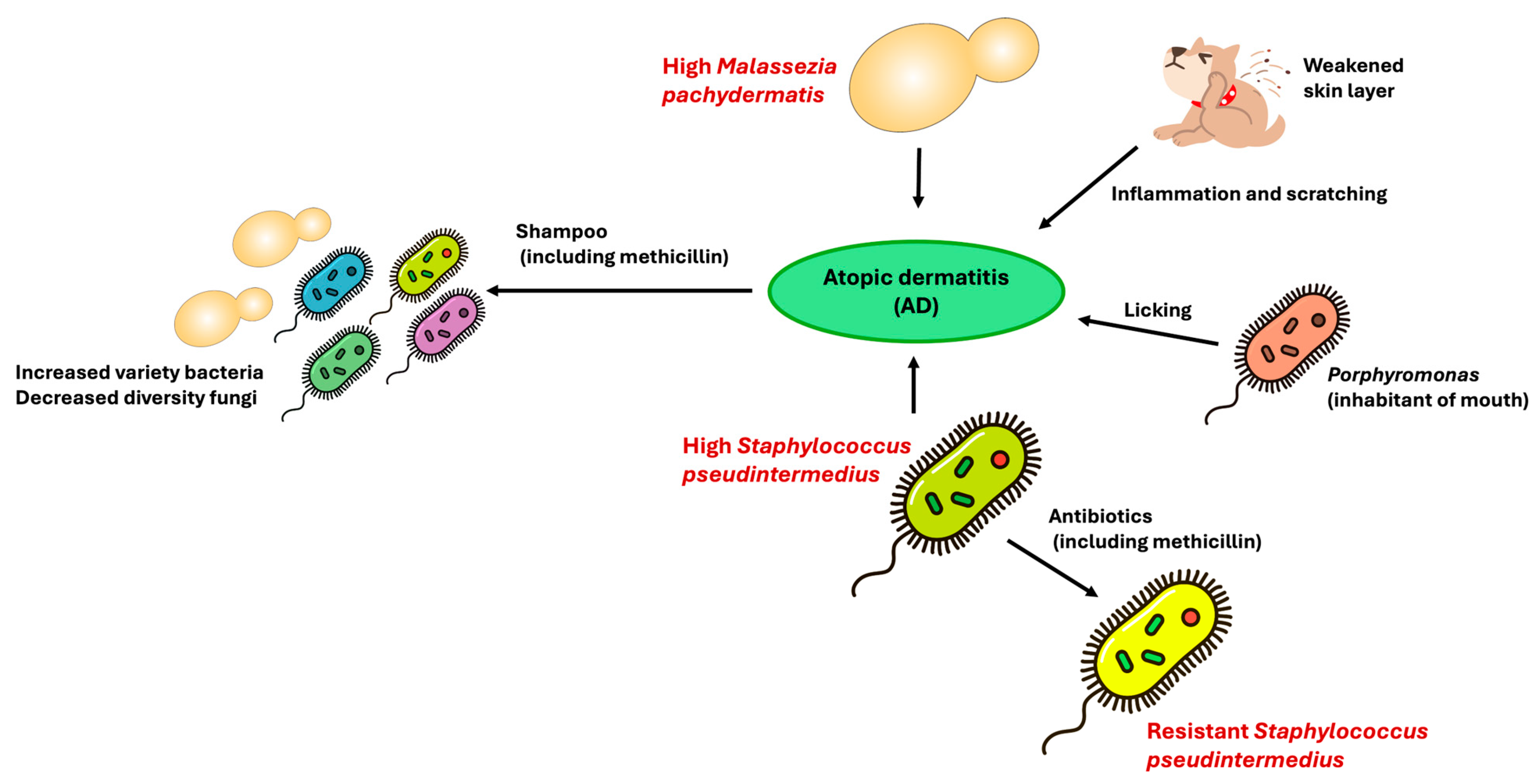 Applmicrobiol 05 00148 g002