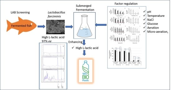 Phylogenetic tree constructed using maximum parsimony method showing KUJ 25-S confidently clustered in C. farciminis group. Numbers at branches indicate bootstrap values.