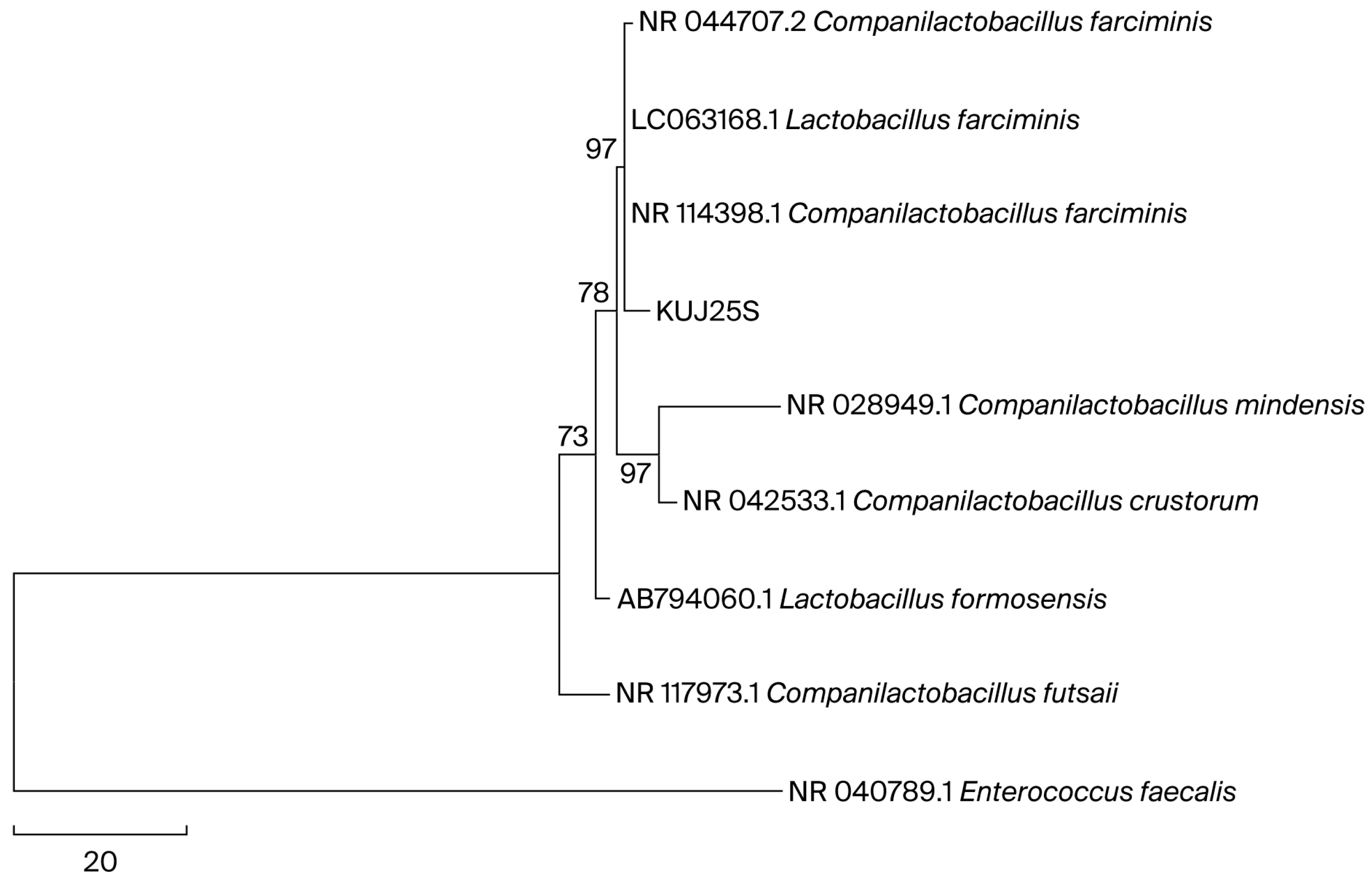 Applmicrobiol 06 00001 g001 Applmicrobiol 06 00001 g001