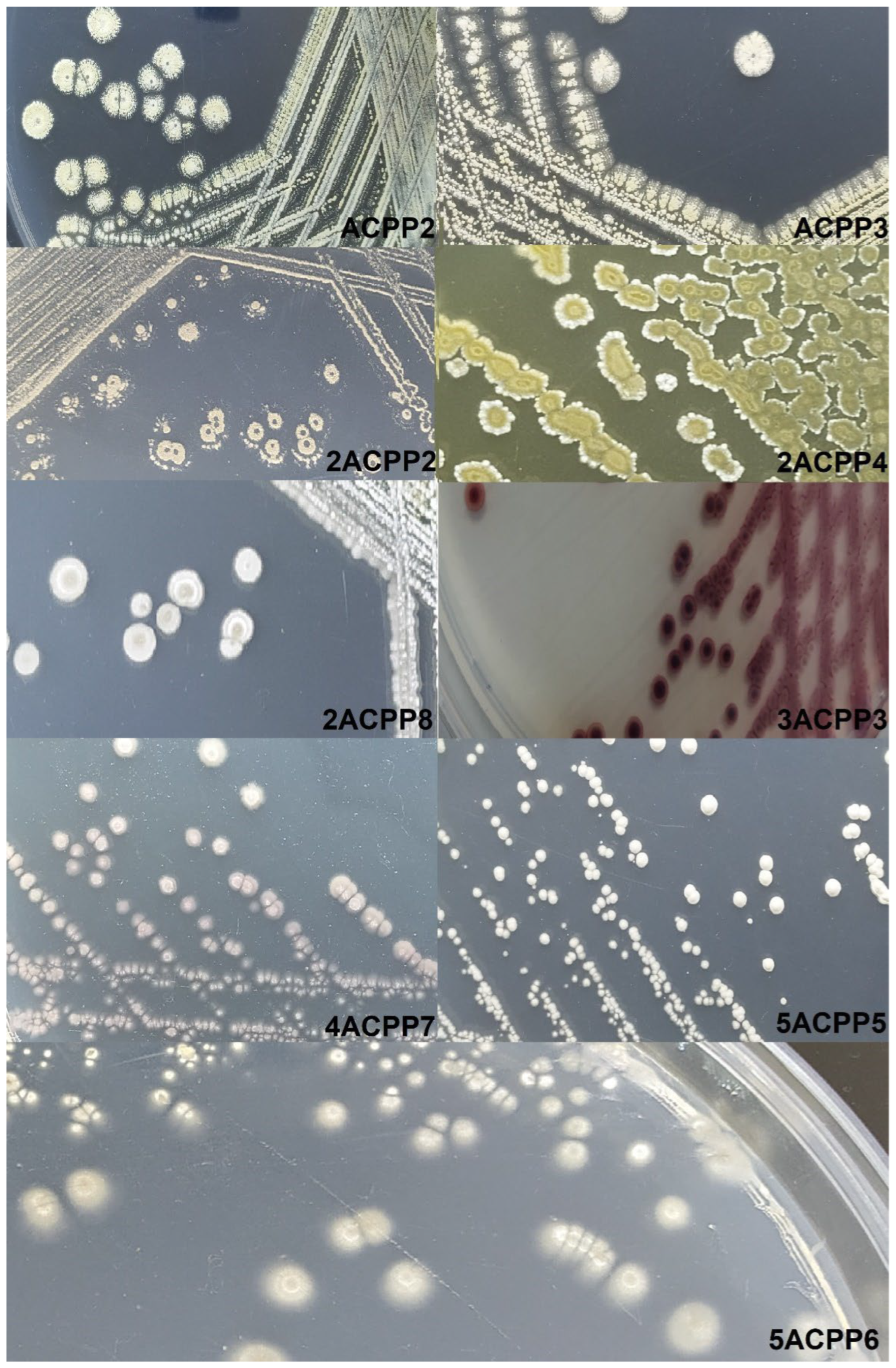 Applmicrobiol 06 00002 g002 Applmicrobiol 06 00002 g002