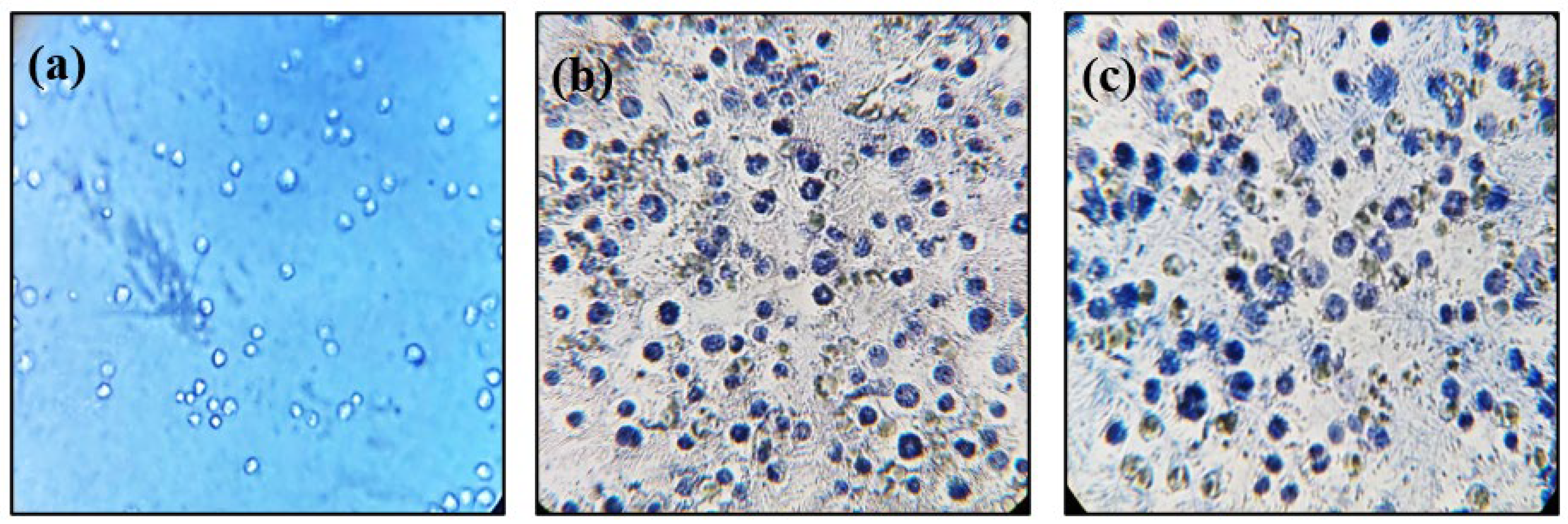 Applmicrobiol 06 00004 g004 Applmicrobiol 06 00004 g004