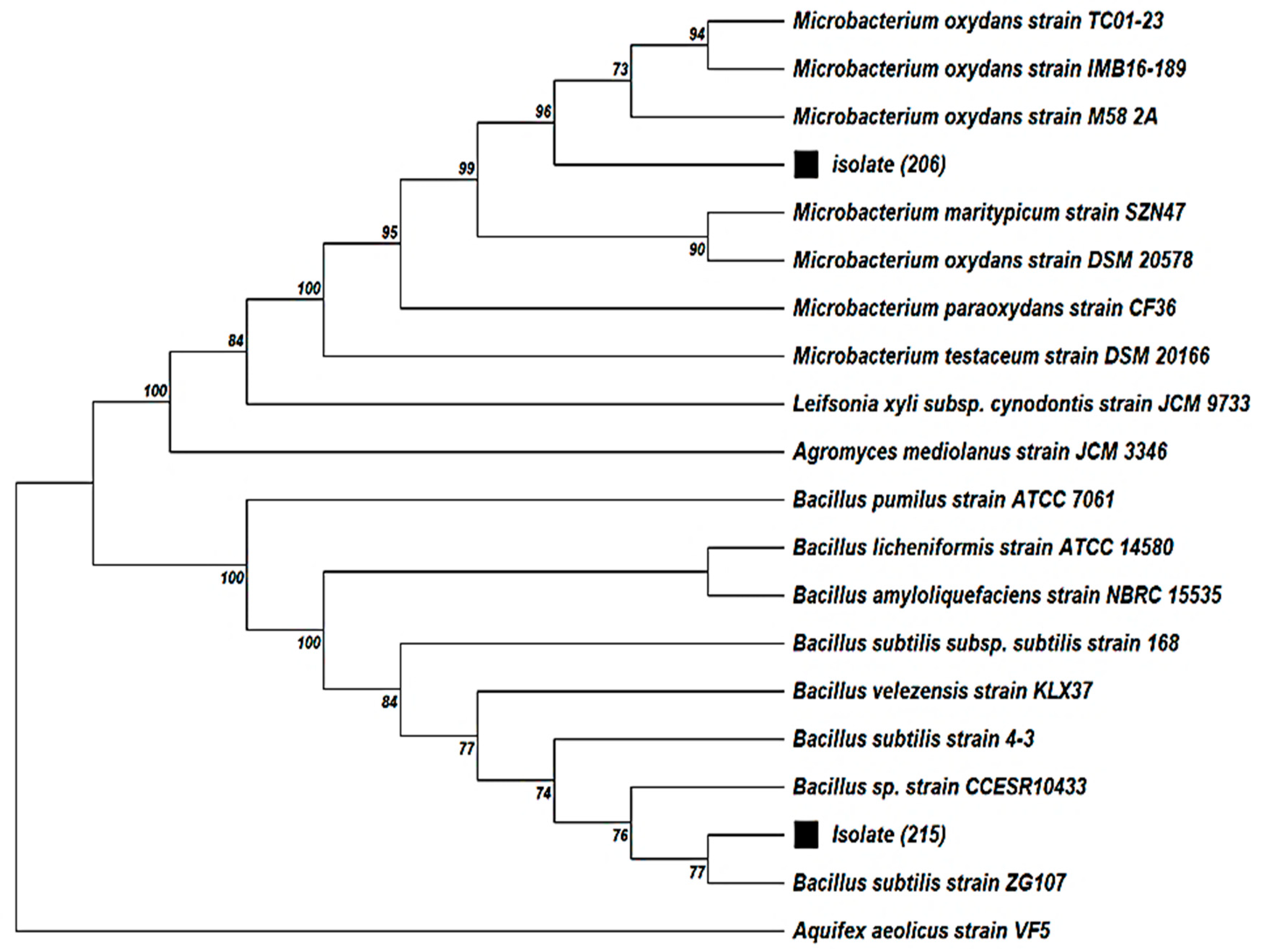 Applmicrobiol 06 00004 g005 Applmicrobiol 06 00004 g005