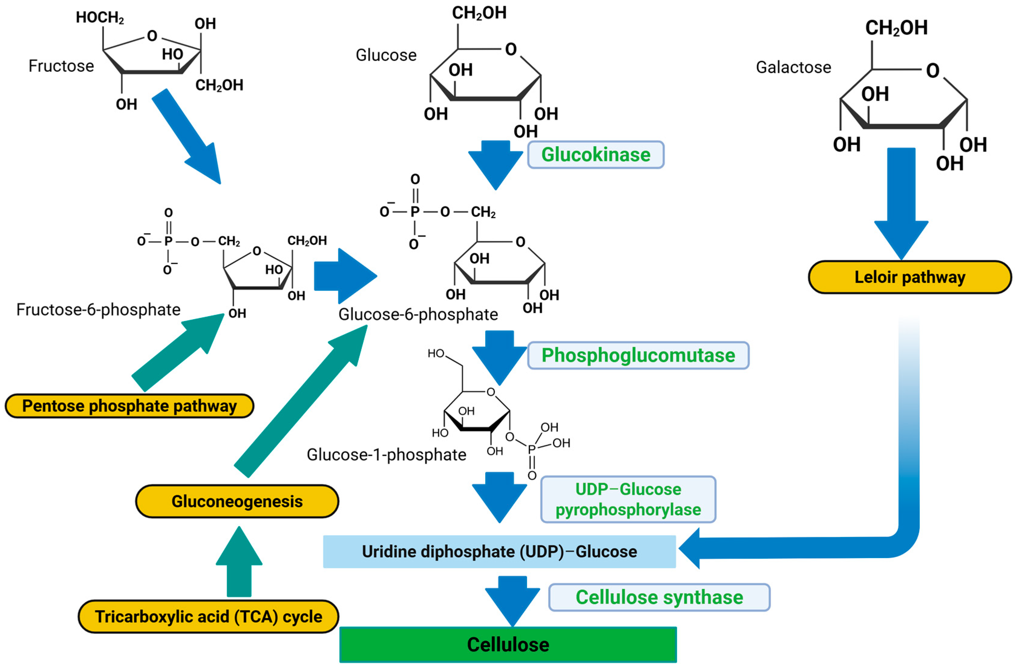 Applmicrobiol 06 00005 g001 Applmicrobiol 06 00005 g001