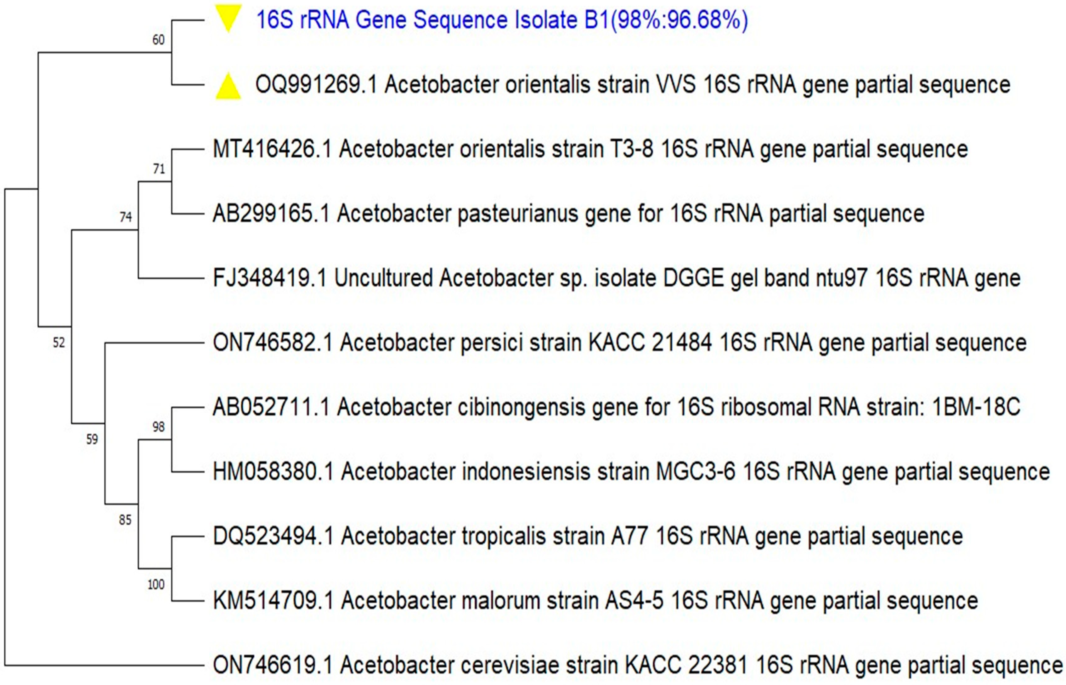 Applmicrobiol 06 00005 g004 Applmicrobiol 06 00005 g004