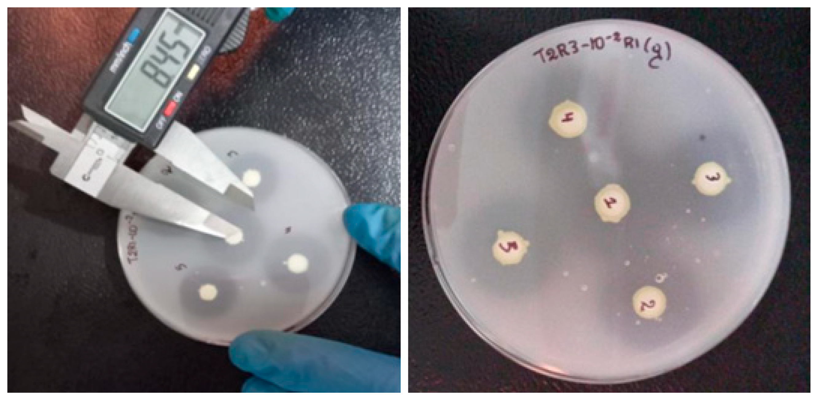 Applmicrobiol 06 00008 g001 Applmicrobiol 06 00008 g001