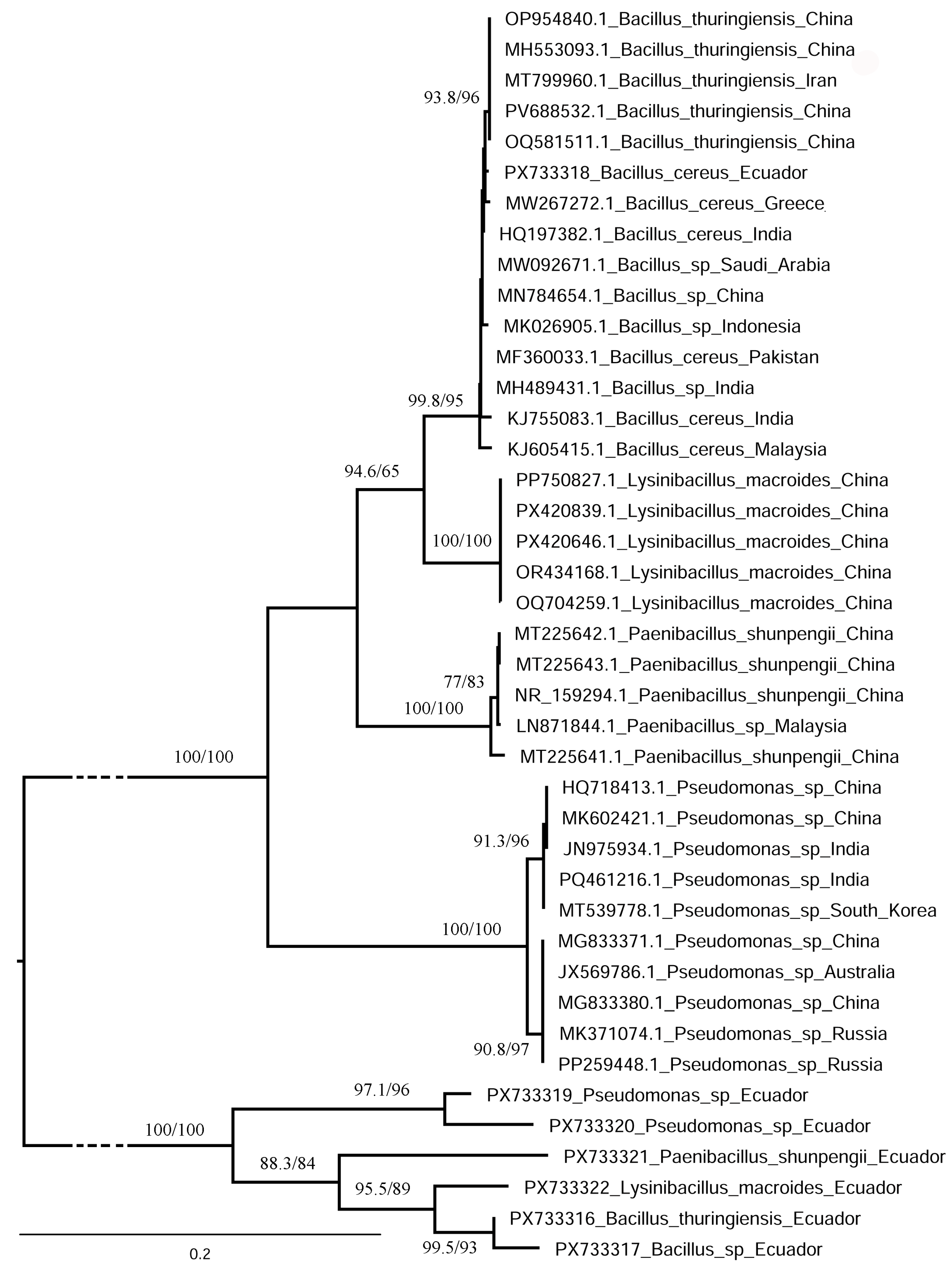 Applmicrobiol 06 00008 g002 Applmicrobiol 06 00008 g002