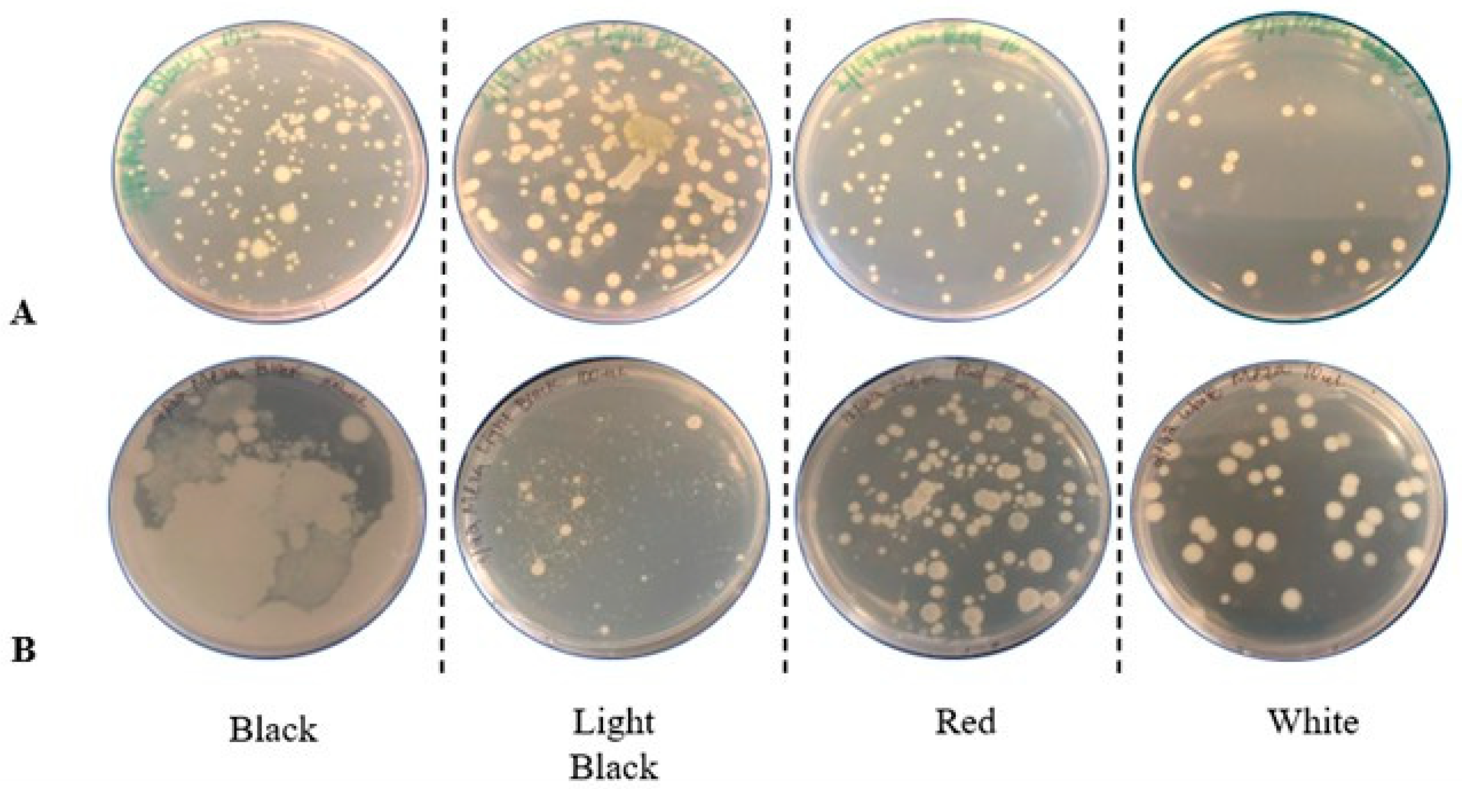 Applmicrobiol 06 00011 g003 Applmicrobiol 06 00011 g003