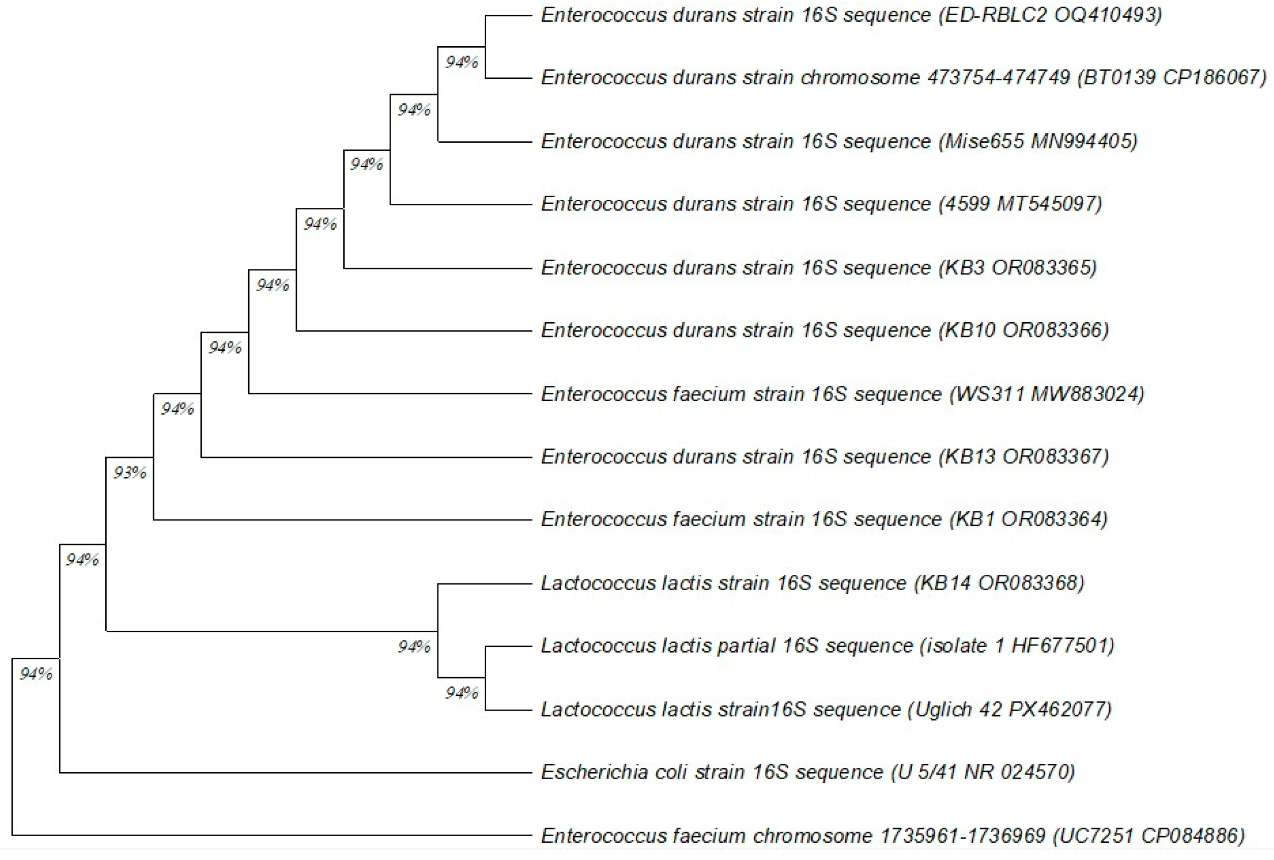 Applmicrobiol 06 00014 g001 Applmicrobiol 06 00014 g001
