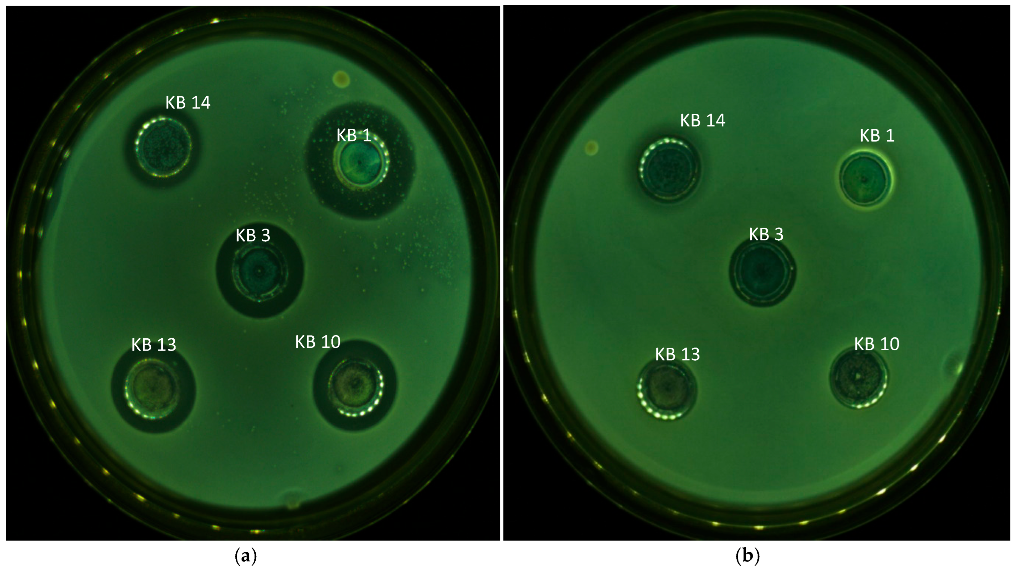 Applmicrobiol 06 00014 g002 Applmicrobiol 06 00014 g002