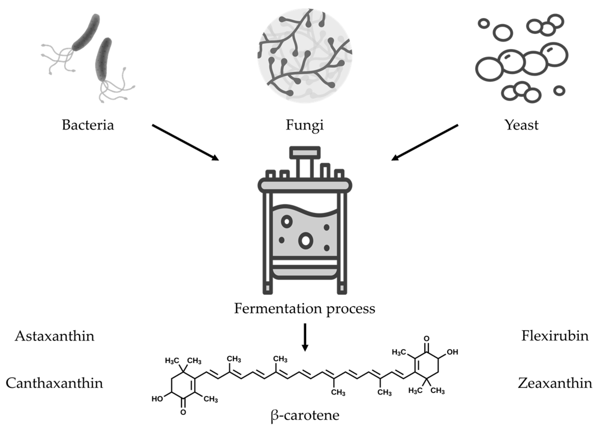 Applmicrobiol 06 00017 g003 Applmicrobiol 06 00017 g003