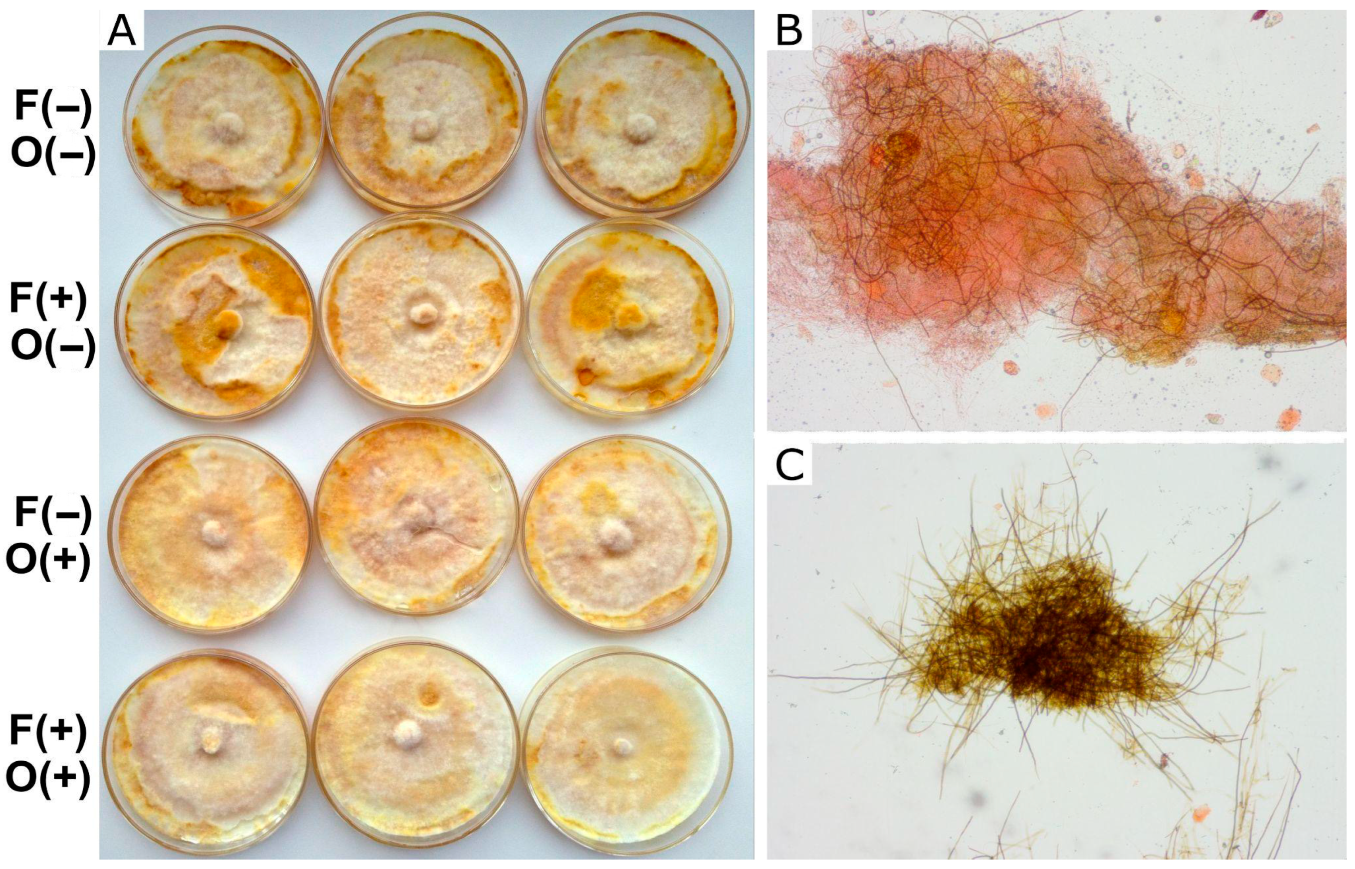Applmicrobiol 06 00030 g002