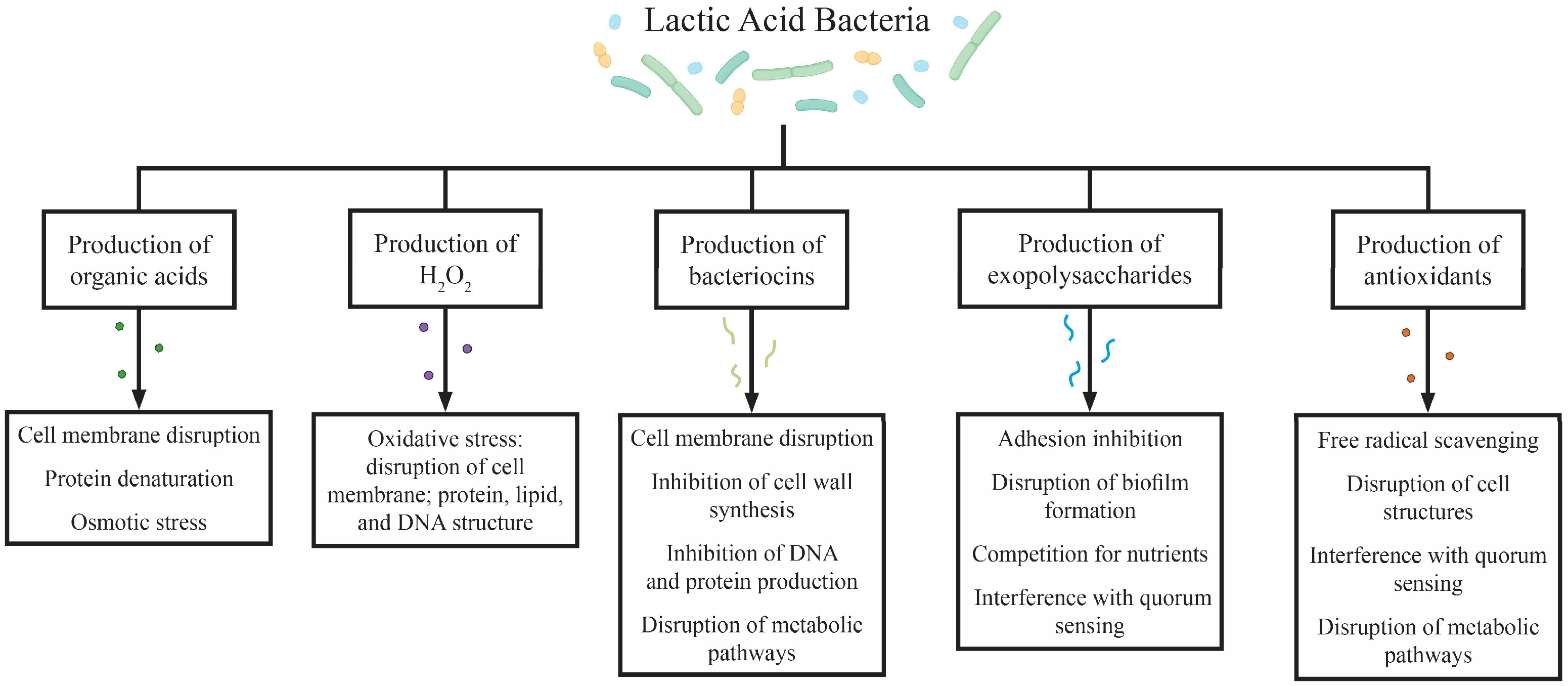Applmicrobiol 06 00037 g001 Applmicrobiol 06 00037 g001