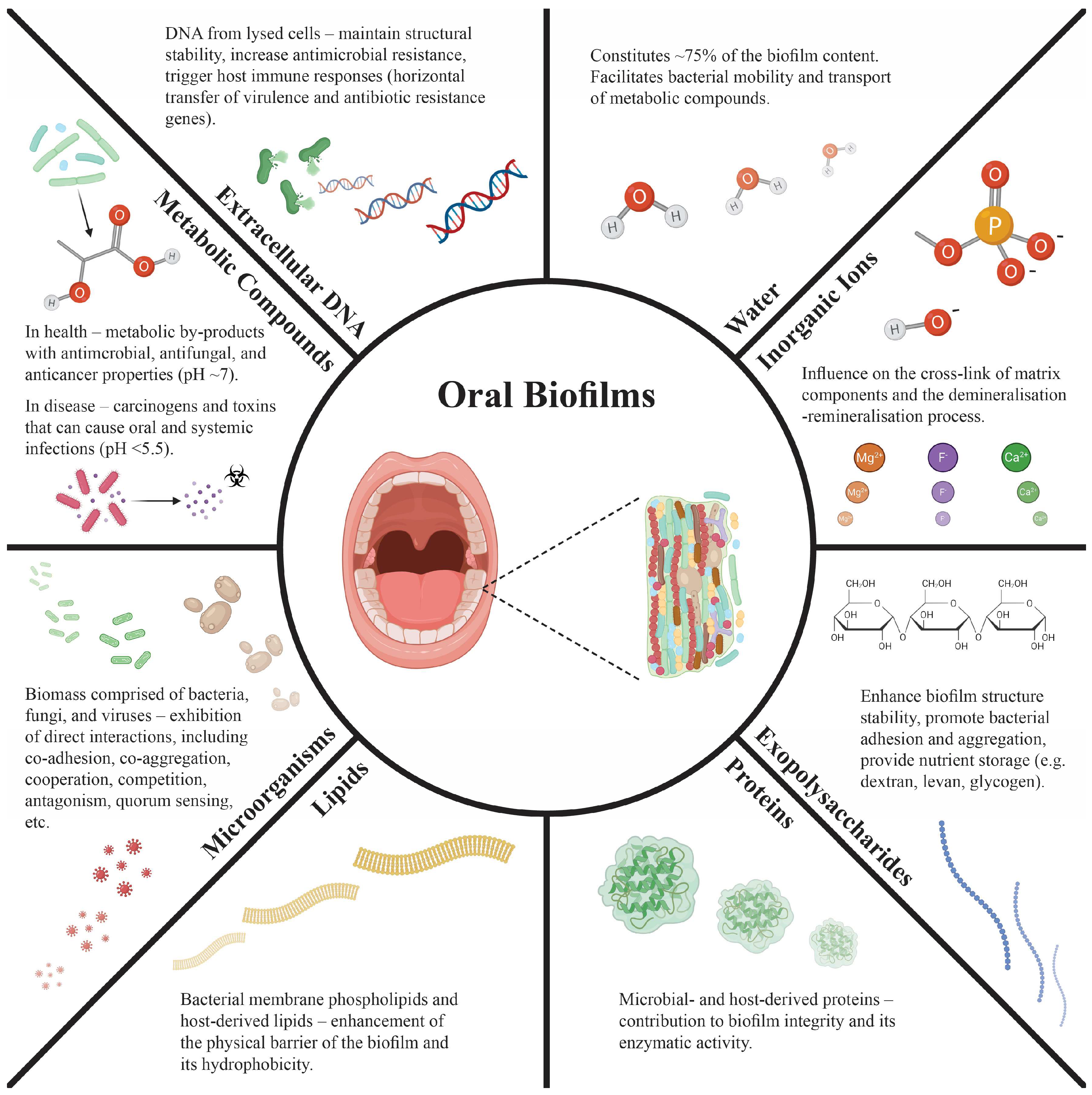 Applmicrobiol 06 00037 g002 Applmicrobiol 06 00037 g002