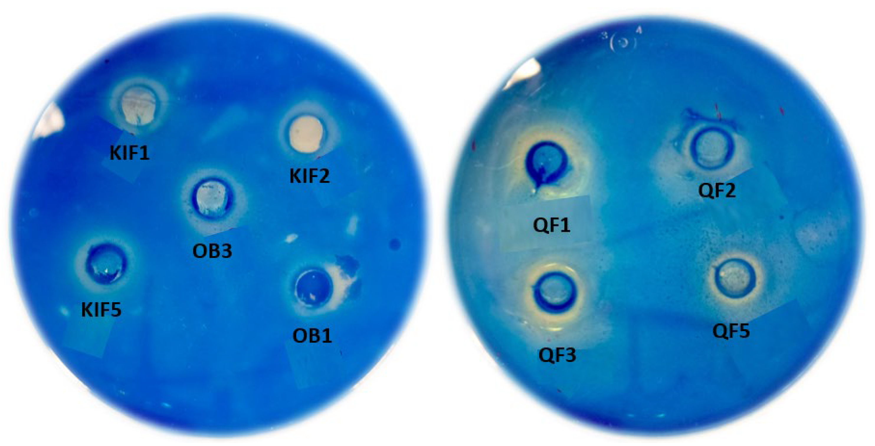 Applmicrobiol 06 00045 g003 Applmicrobiol 06 00045 g003