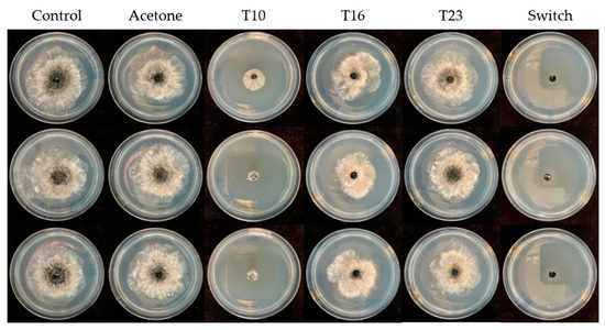 Applmicrobiol 06 00046 g0a1
