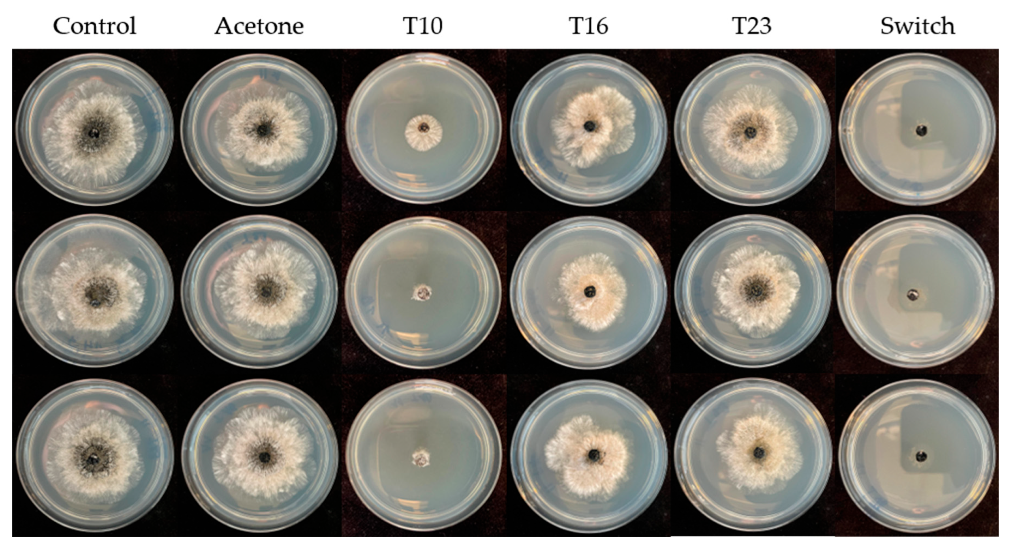 Applmicrobiol 06 00046 g0a1 Applmicrobiol 06 00046 g0a1