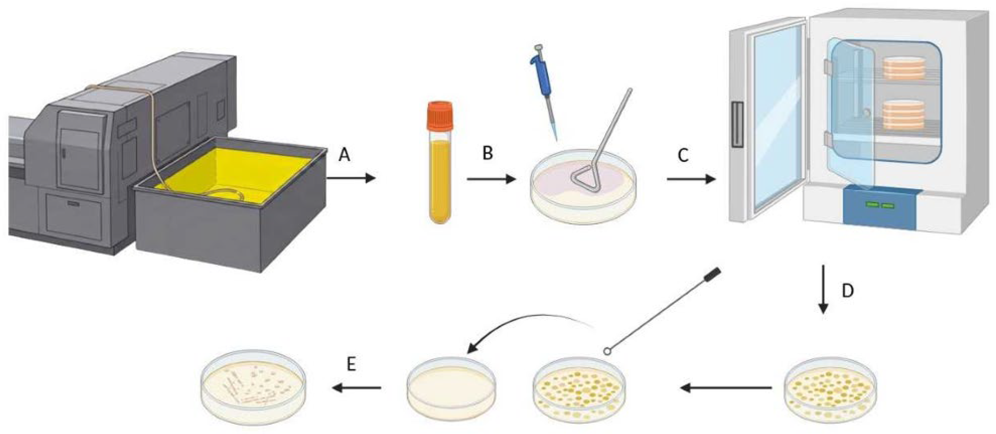 Applmicrobiol 06 00060 g001 Applmicrobiol 06 00060 g001