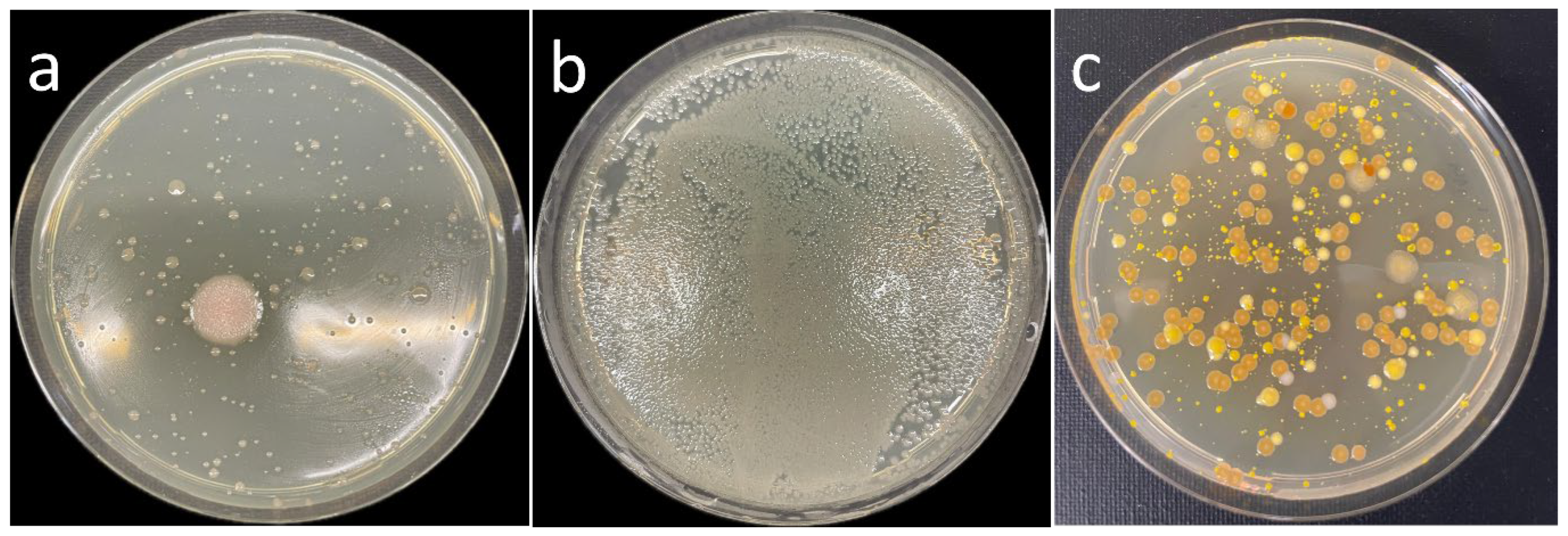Applmicrobiol 06 00060 g002 Applmicrobiol 06 00060 g002