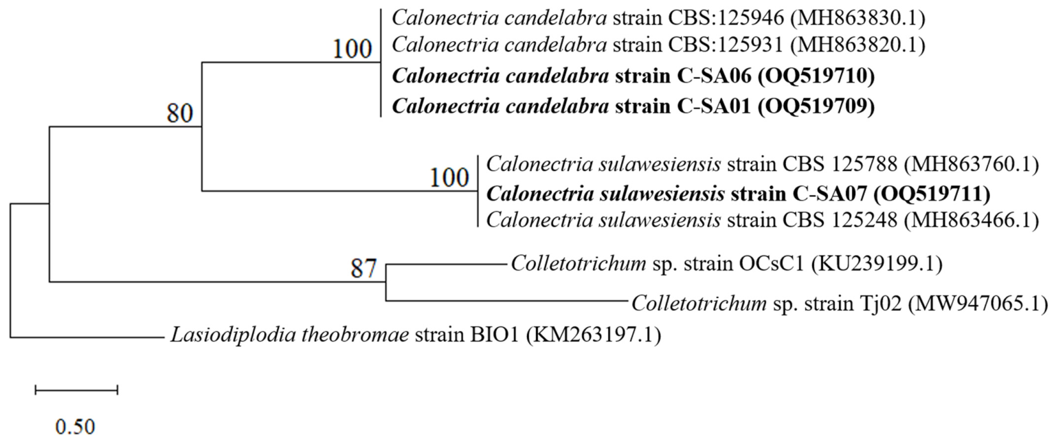 Applmicrobiol 06 00072 g001 Applmicrobiol 06 00072 g001
