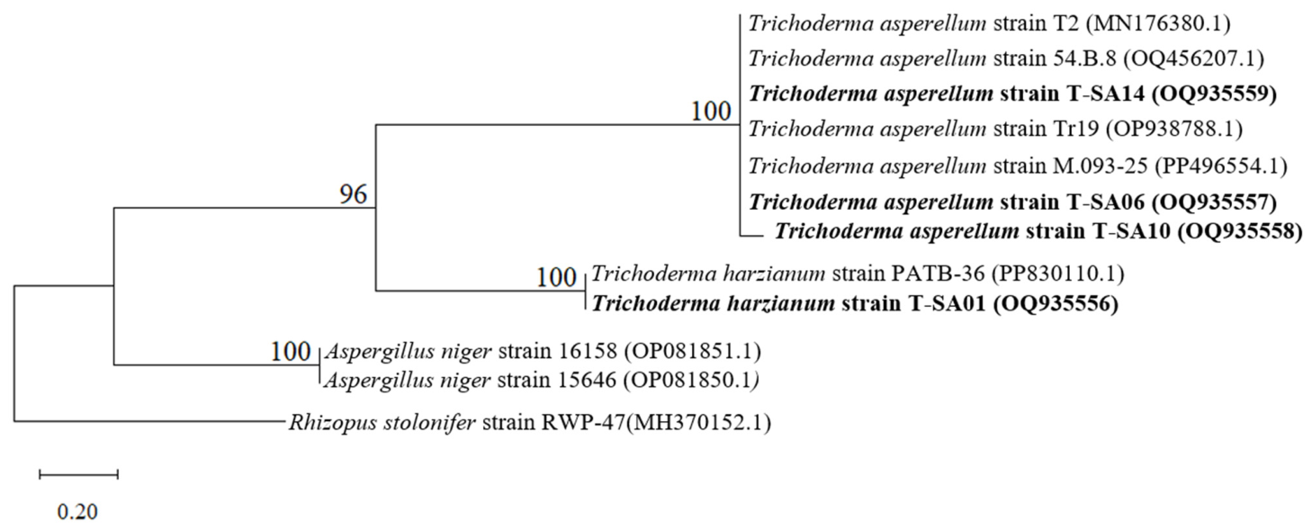 Applmicrobiol 06 00072 g002 Applmicrobiol 06 00072 g002