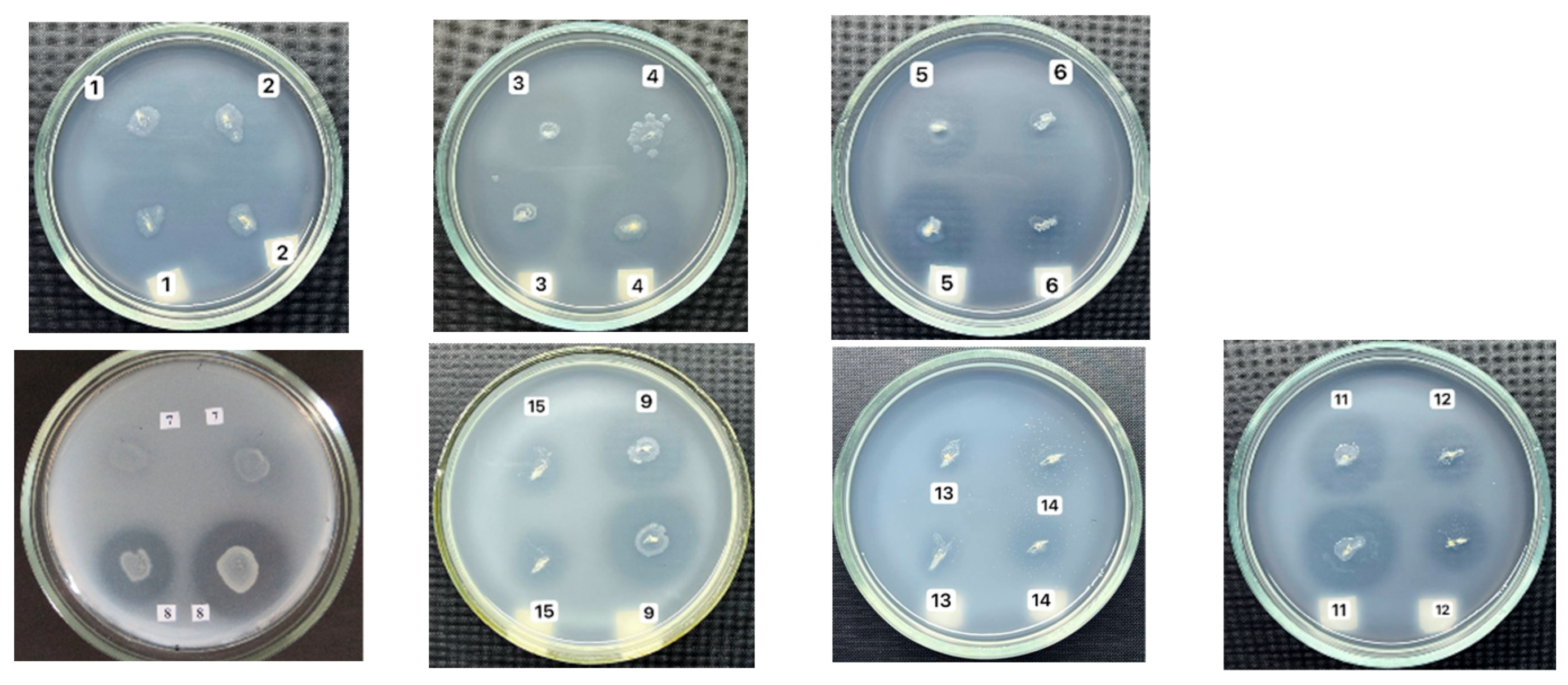 Applmicrobiol 06 00081 g001 Applmicrobiol 06 00081 g001