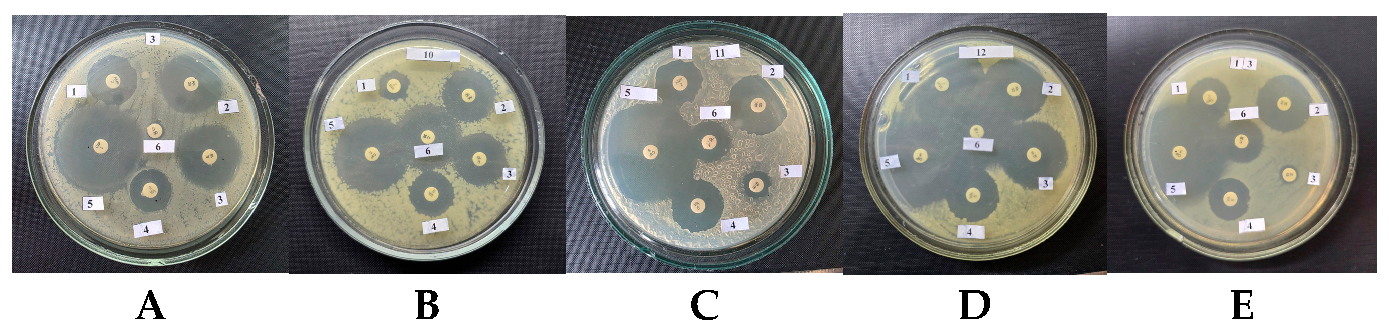 Applmicrobiol 06 00081 g002 Applmicrobiol 06 00081 g002