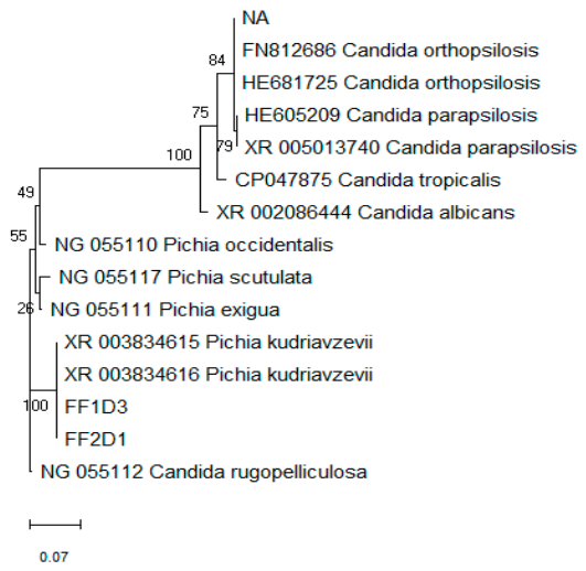 Applmicrobiol 06 00084 g002 Applmicrobiol 06 00084 g002